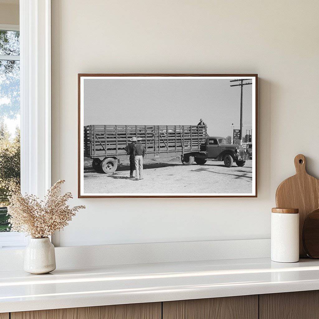 Cattle Trailer at San Angelo Stockyards November 1939 - Available at KNOWOL
