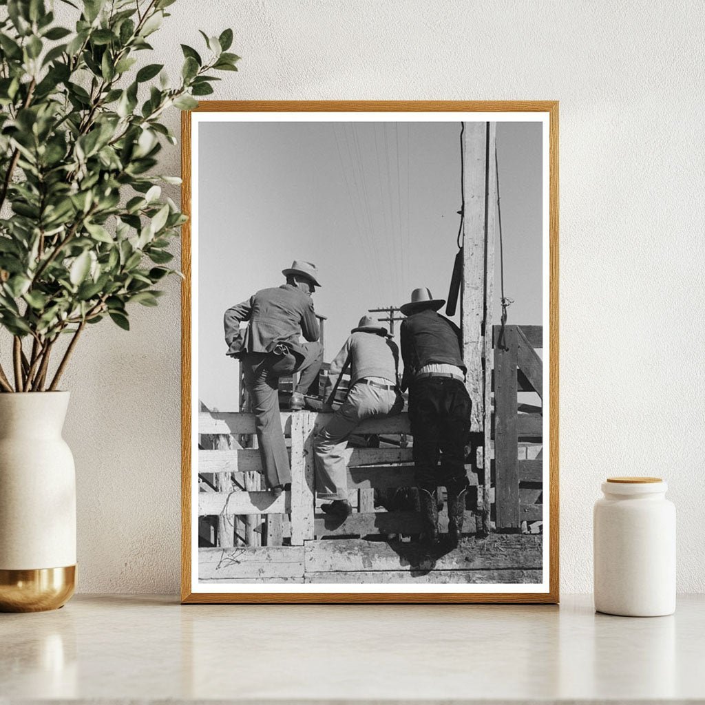 Cattlemen Examine Cattle at San Angelo Stockyards 1939 - Available at KNOWOL