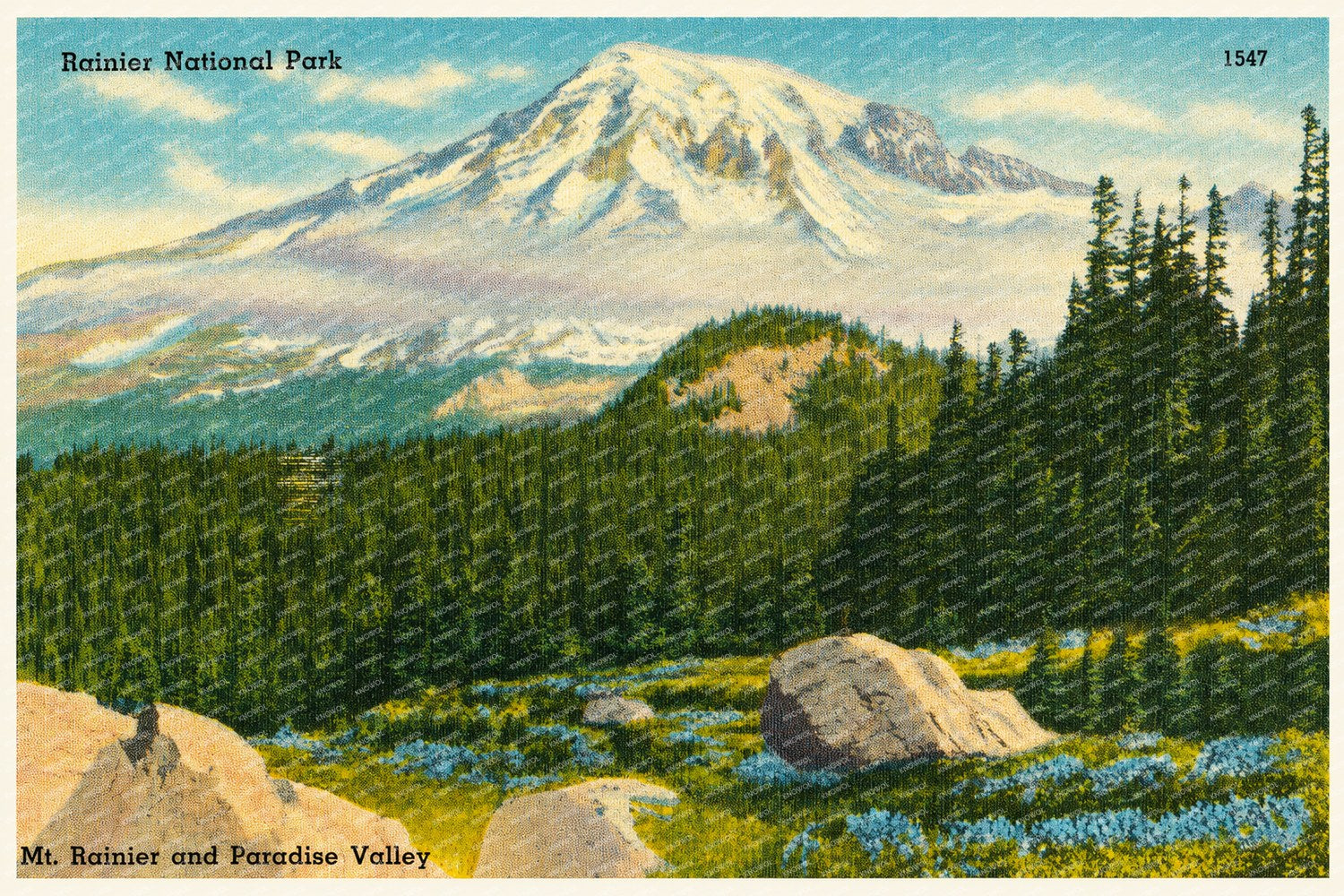 Mount Rainier National Park, WA: Rainier National Park, Mt. Rainier and Paradise Valley