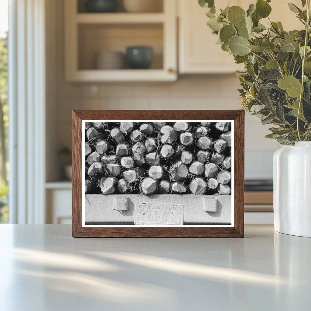 Cedar Fence Posts Loaded on Truck Clifton Texas 1939 - Available at KNOWOL