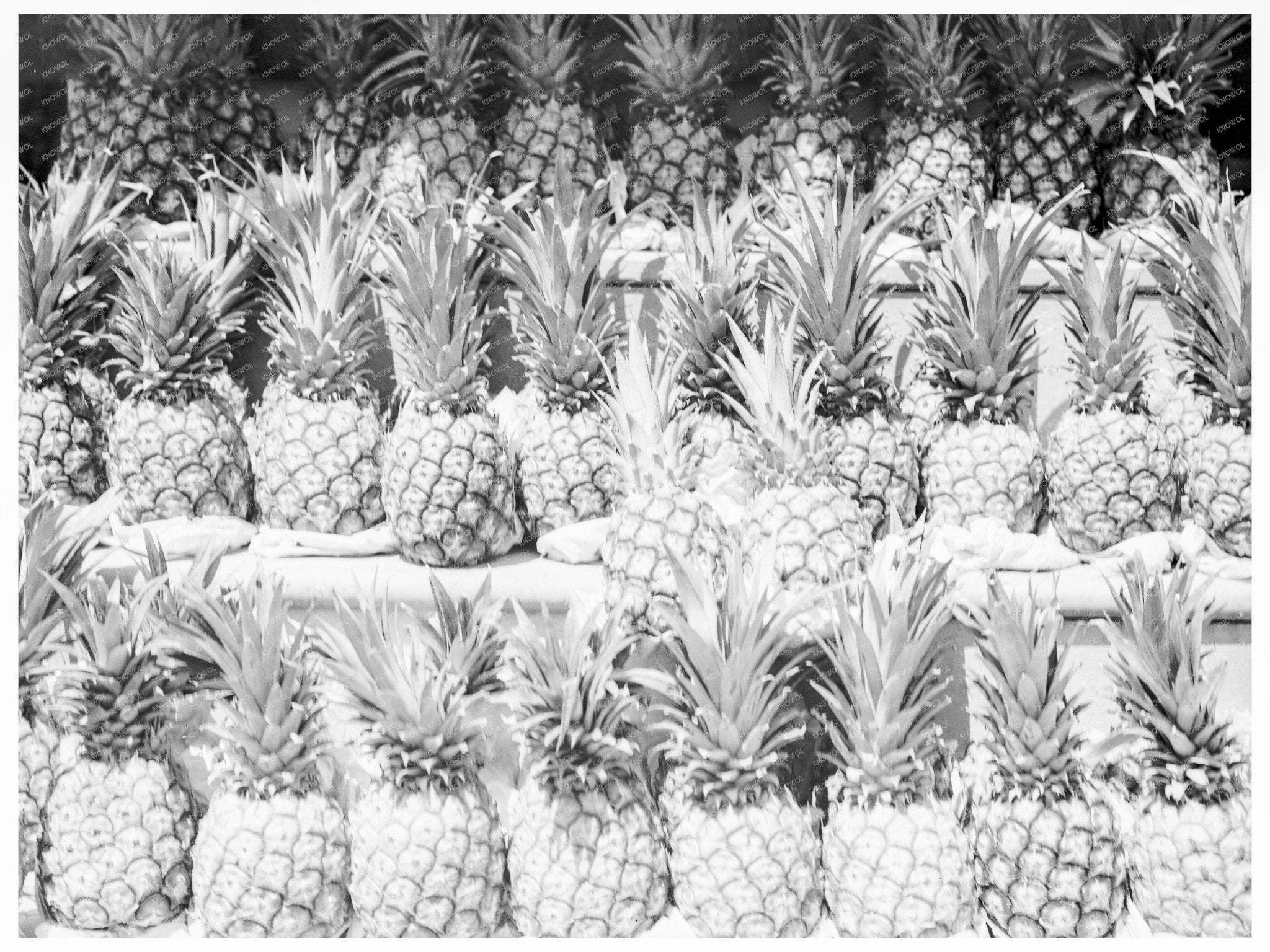 Center Market Washington D.C. 1936 Vintage Photo - Available at KNOWOL