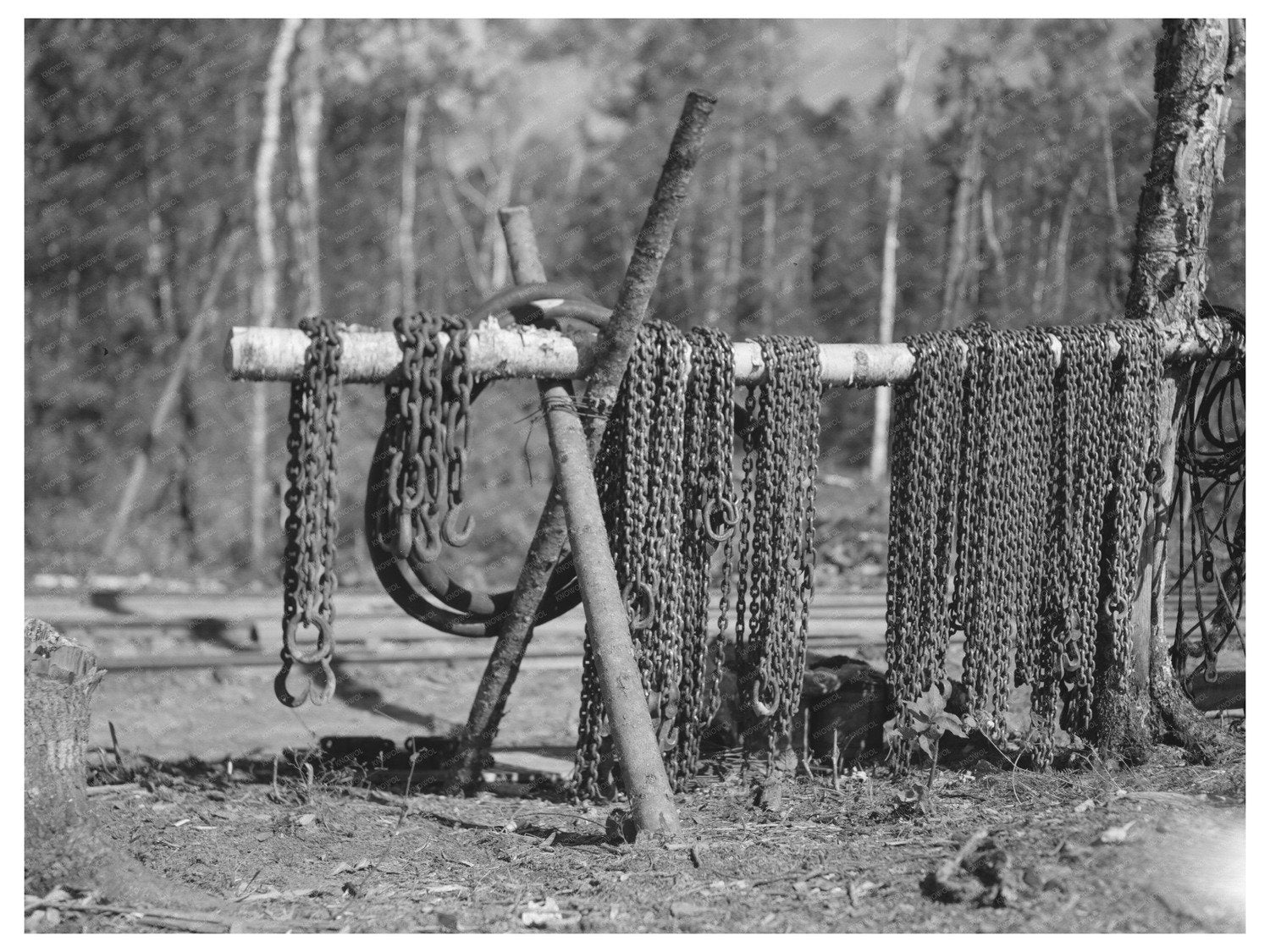 Chains at Lumber Camp Effie Minnesota September 1937 - Available at KNOWOL