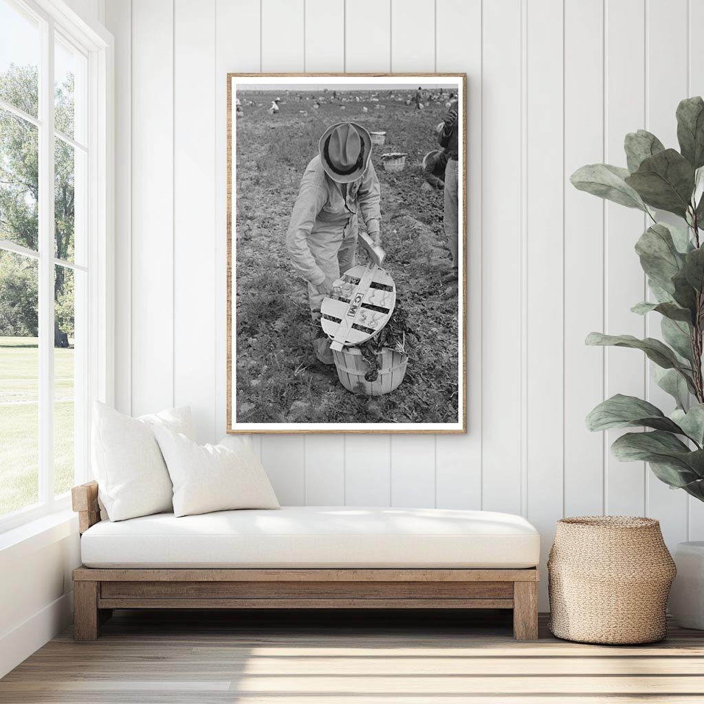 Checker Supervising Spinach Laborers La Pryor Texas 1939 - Available at KNOWOL