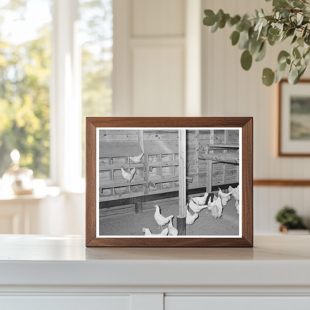 Chicken House at Sabine Farms Marshall Texas 1939 - Available at KNOWOL
