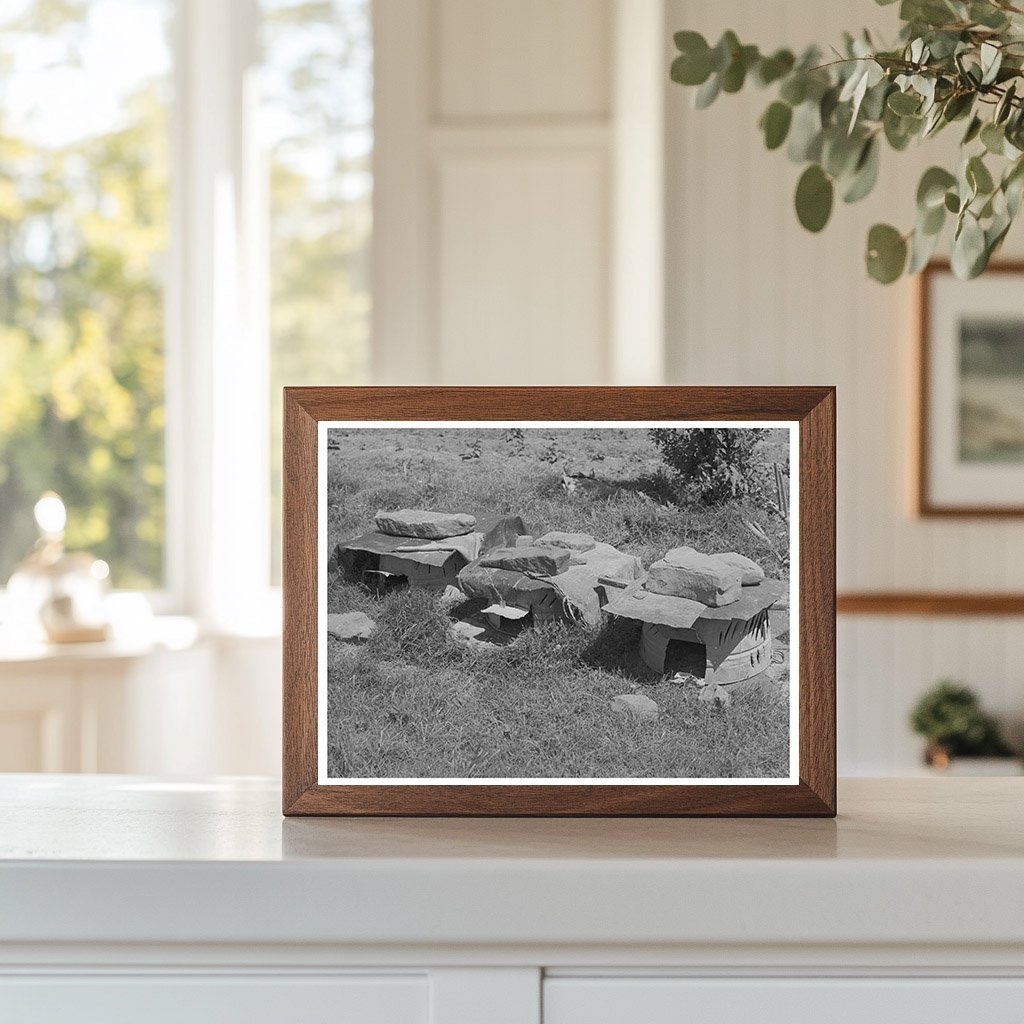 Chicken Houses of Tenant Farmer in Sallisaw Oklahoma 1939 - Available at KNOWOL