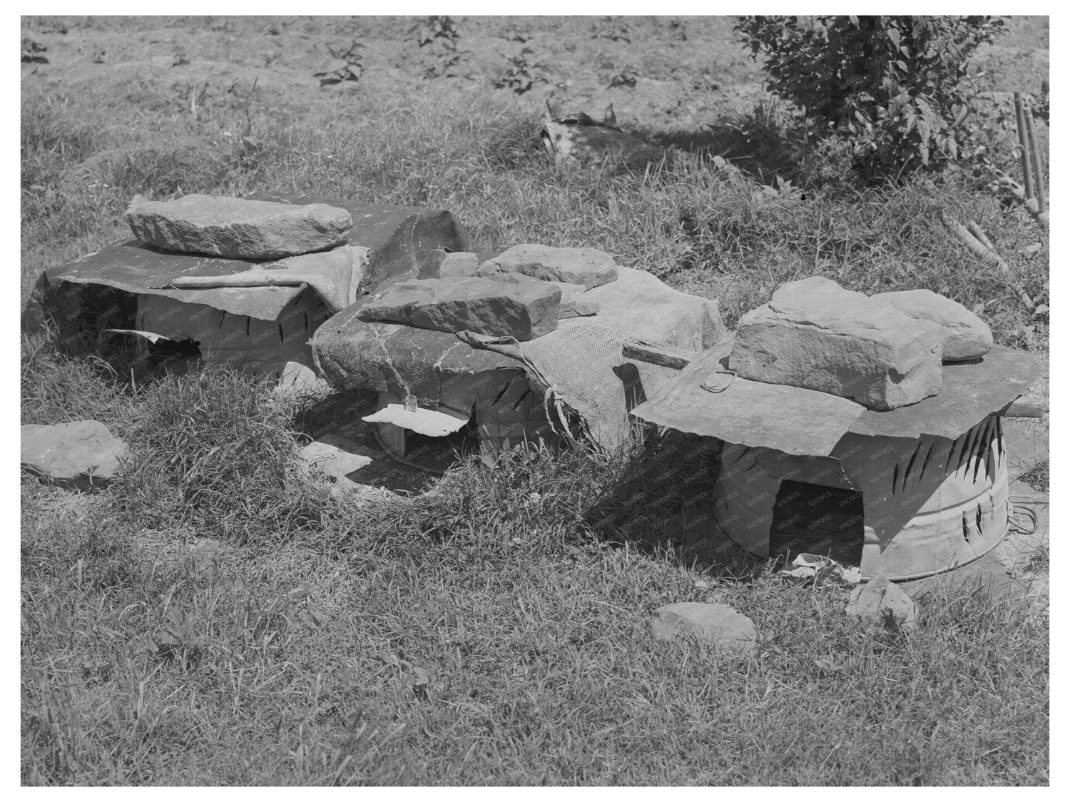 Chicken Houses of Tenant Farmer in Sallisaw Oklahoma 1939 - Available at KNOWOL