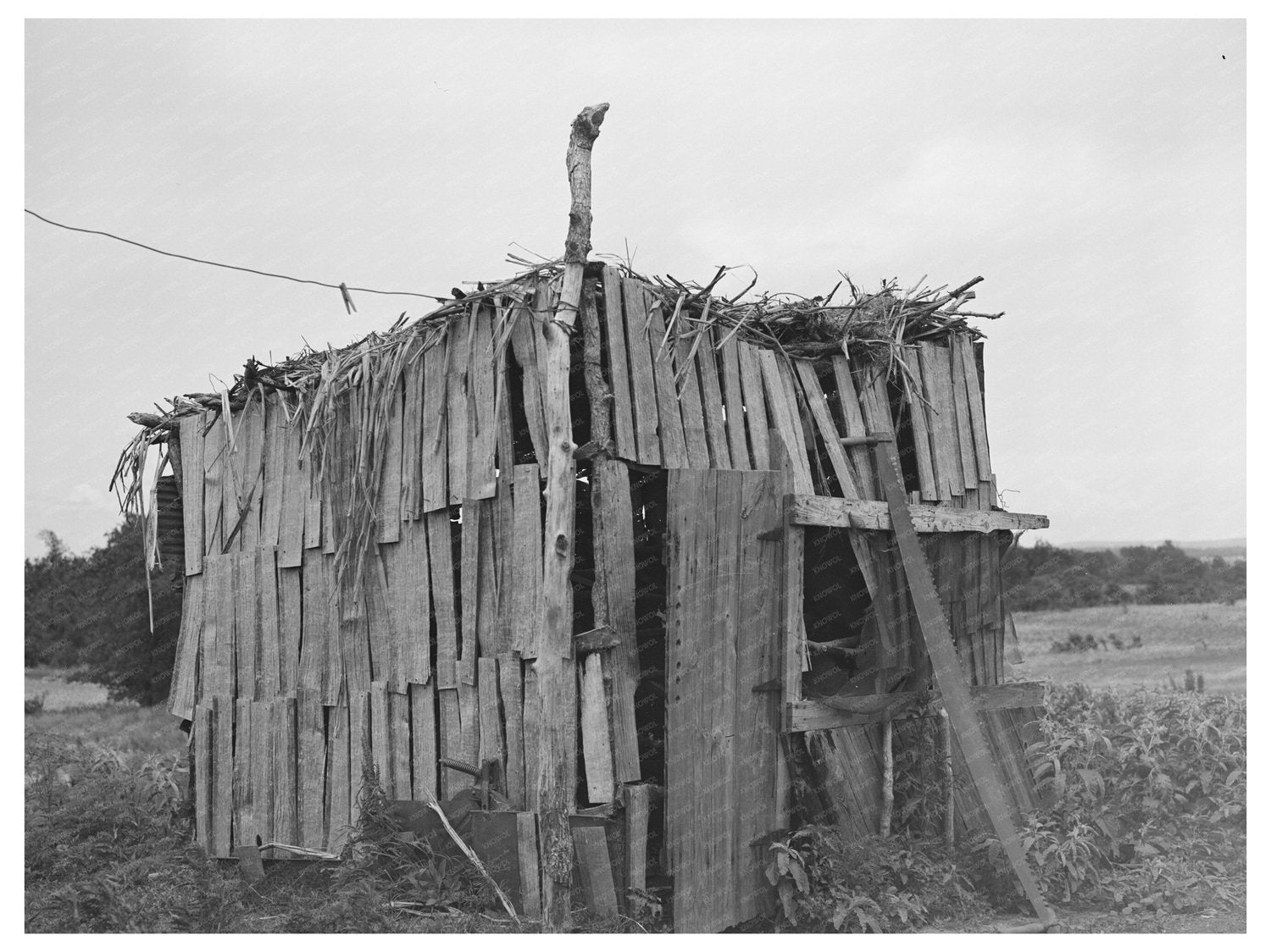 Chicken Shed of Tenant Farmer Wagoner County Oklahoma 1939 - Available at KNOWOL
