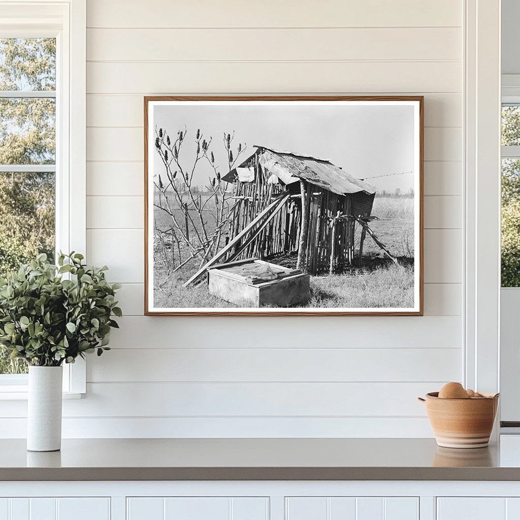 Chicken Shed on Sharecropper Farm Transylvania Louisiana 1939 - Available at KNOWOL