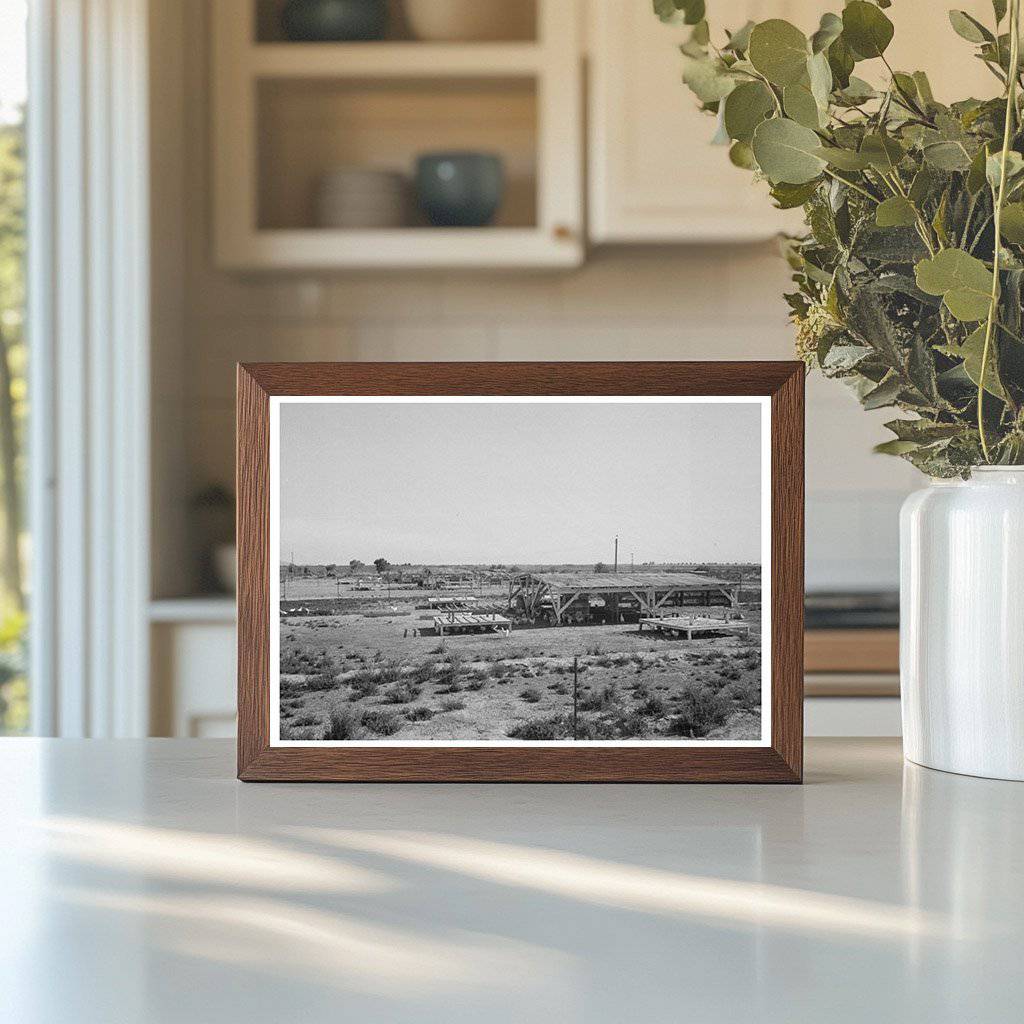 Chicken Shelters at Casa Grande Valley Farms Arizona 1940 - Available at KNOWOL