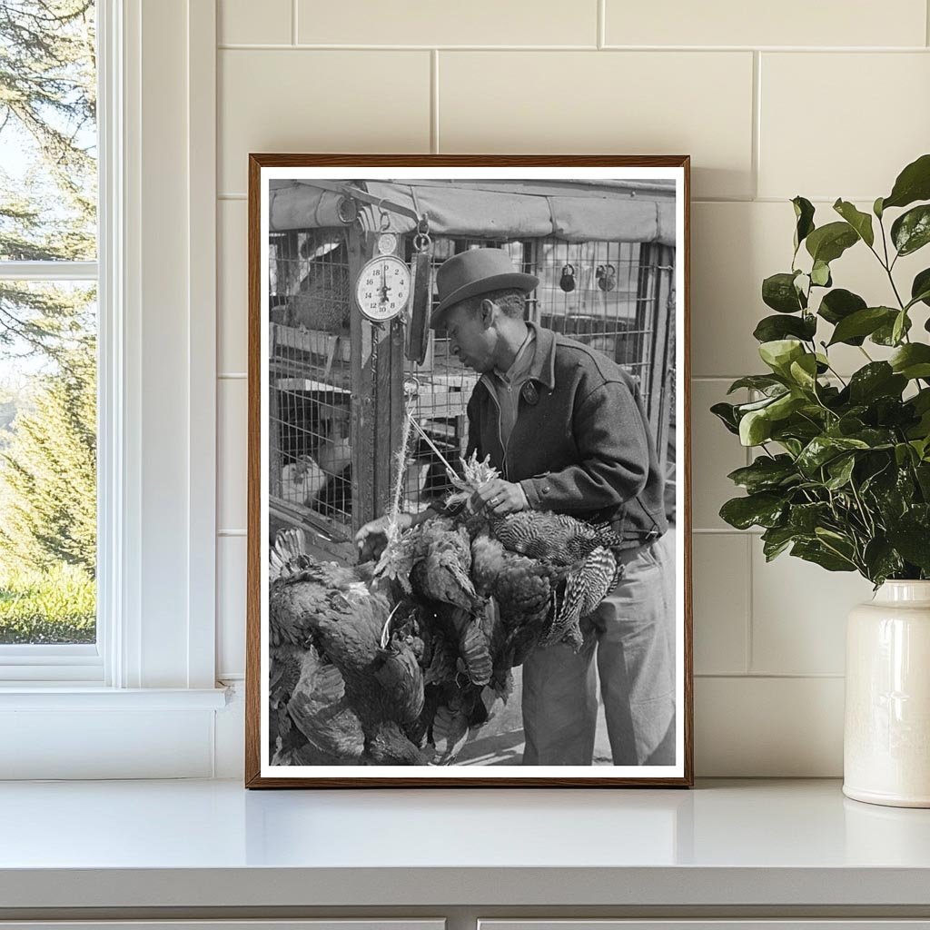 Chickens Weighed at San Antonio Produce Market 1939 - Available at KNOWOL