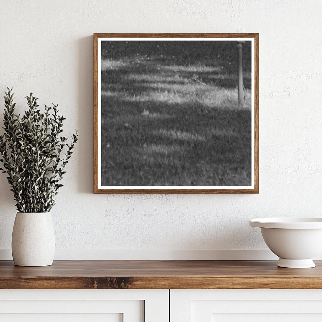 Chico California Park Scene Vintage Photo June 1942 - Available at KNOWOL