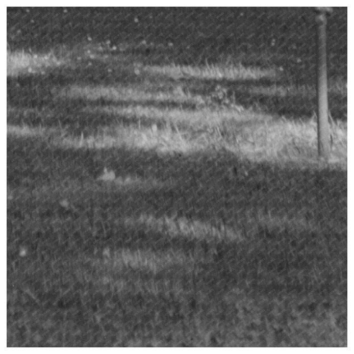 Chico California Park Scene Vintage Photo June 1942 - Available at KNOWOL