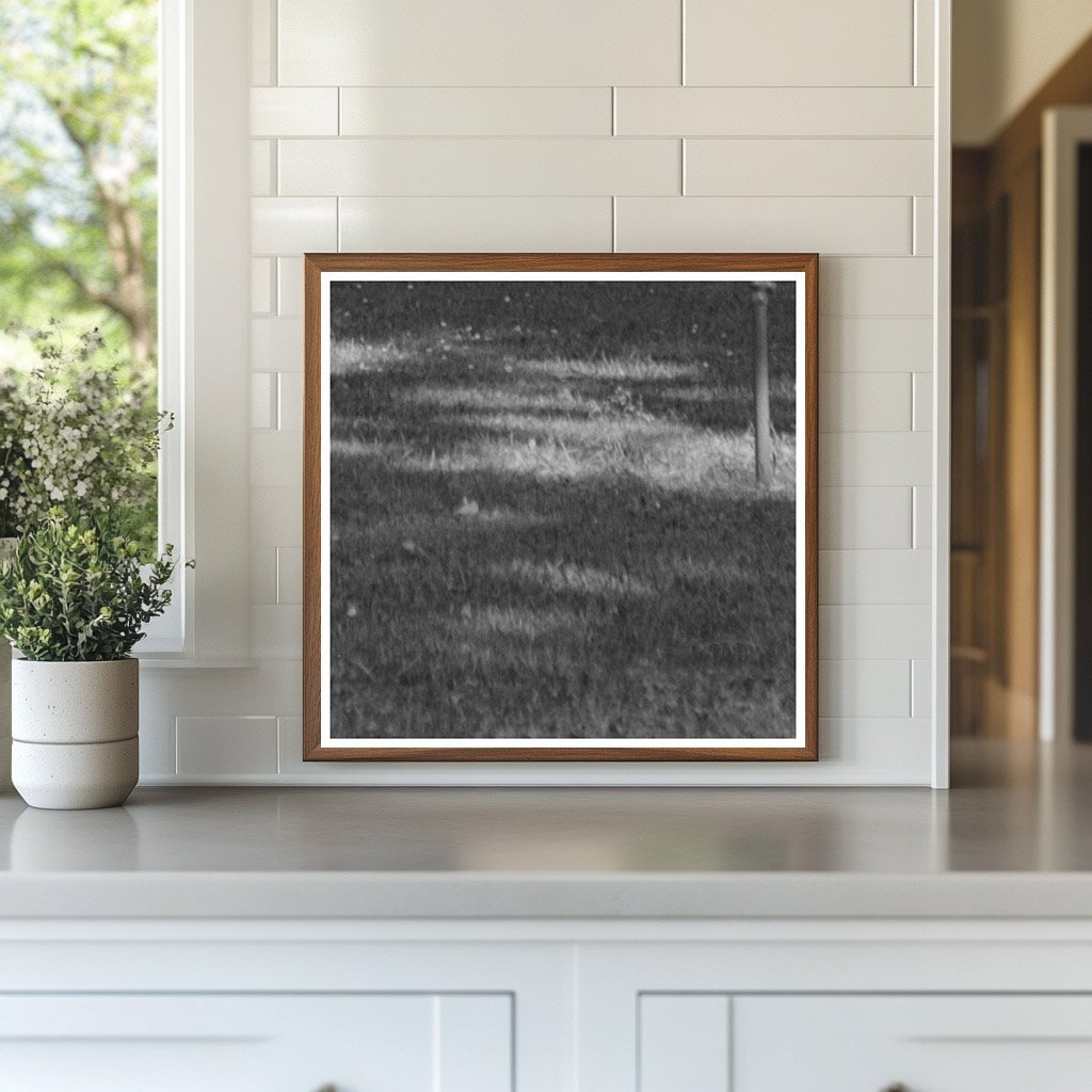 Chico California Park Scene Vintage Photo June 1942 - Available at KNOWOL