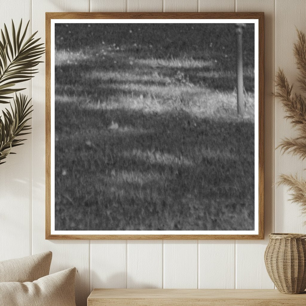 Chico California Park Scene Vintage Photo June 1942 - Available at KNOWOL