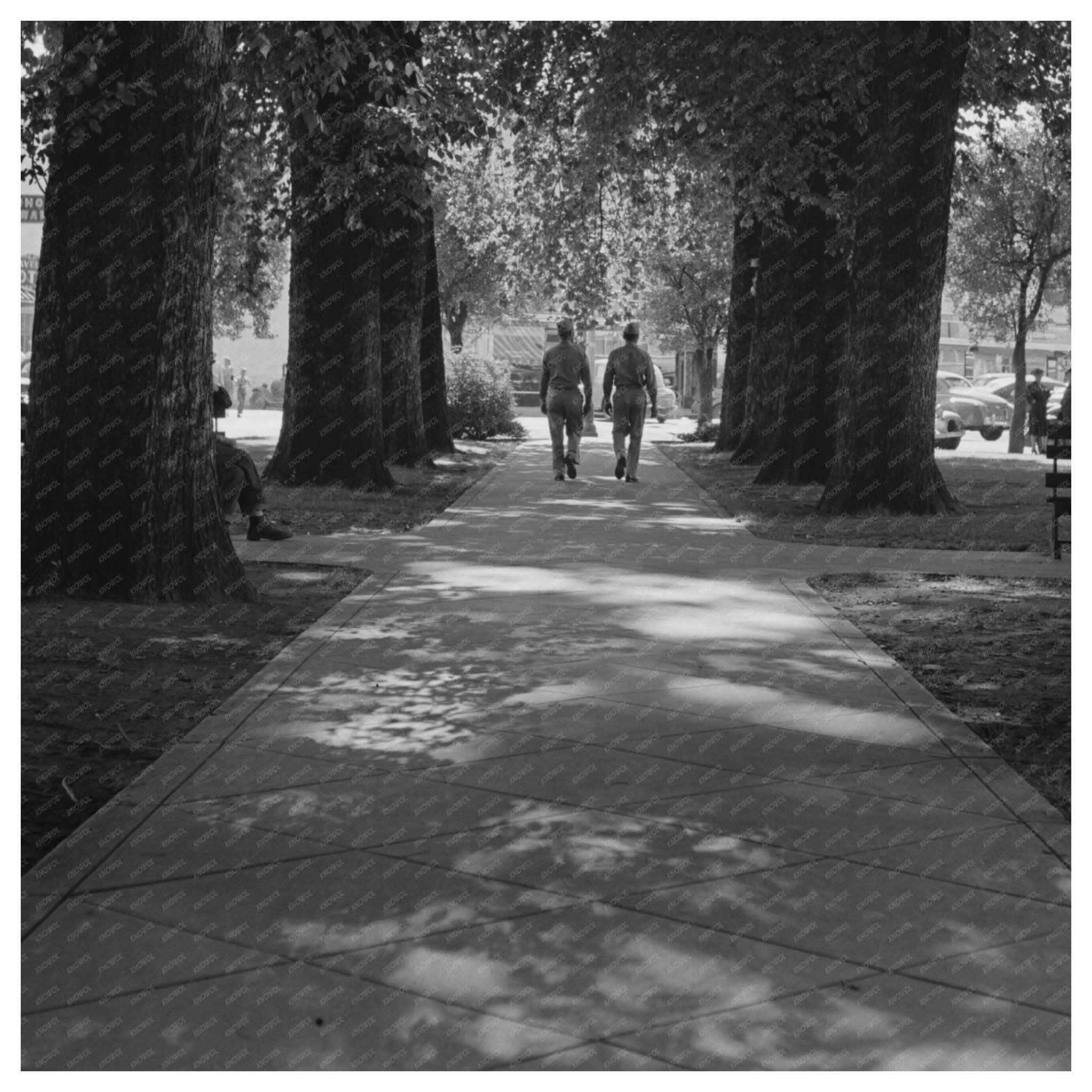 Chico California Park Vintage Image June 1942 - Available at KNOWOL