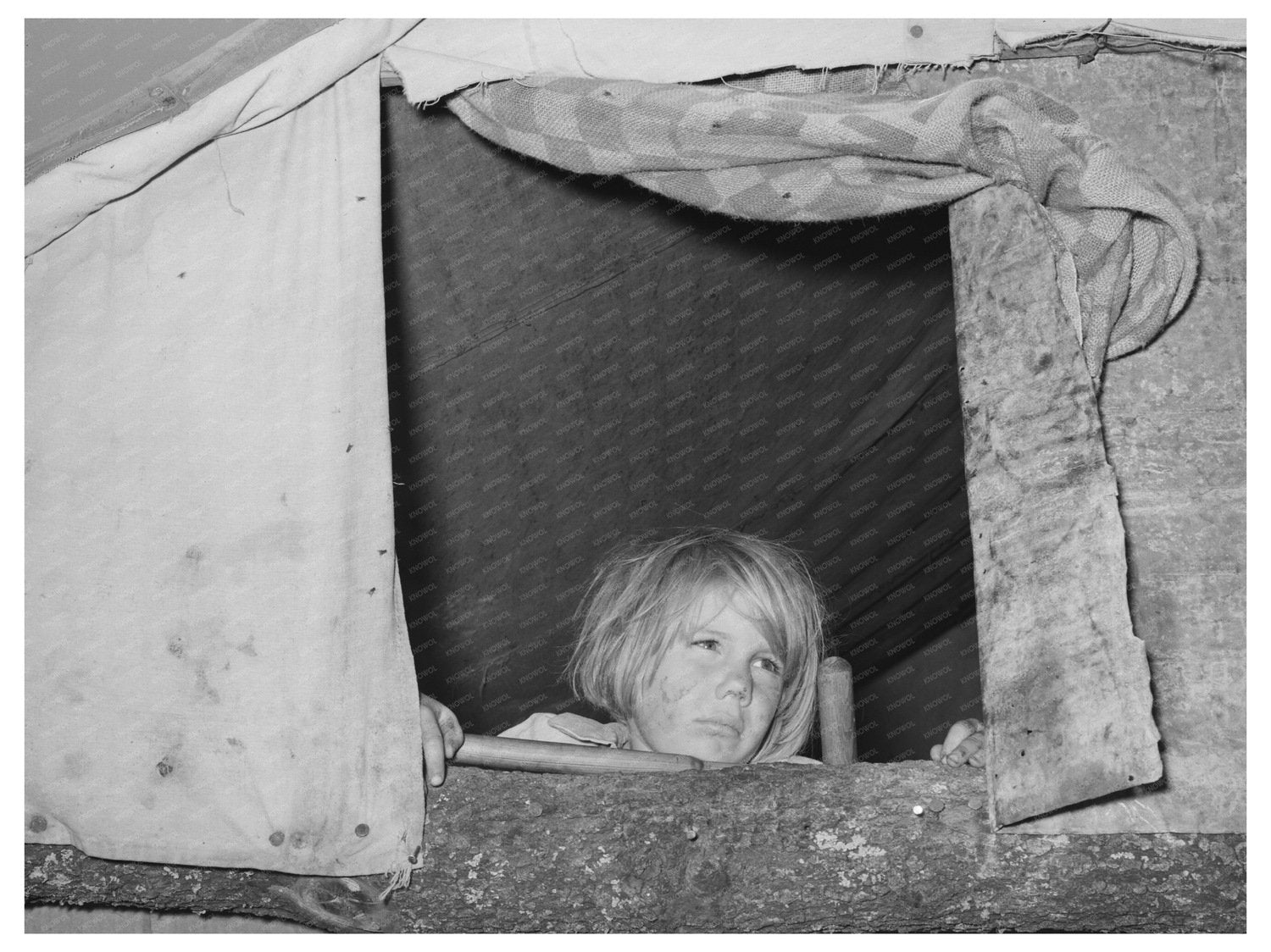 Child at Tent Window in Oklahoma June 1939 - Available at KNOWOL