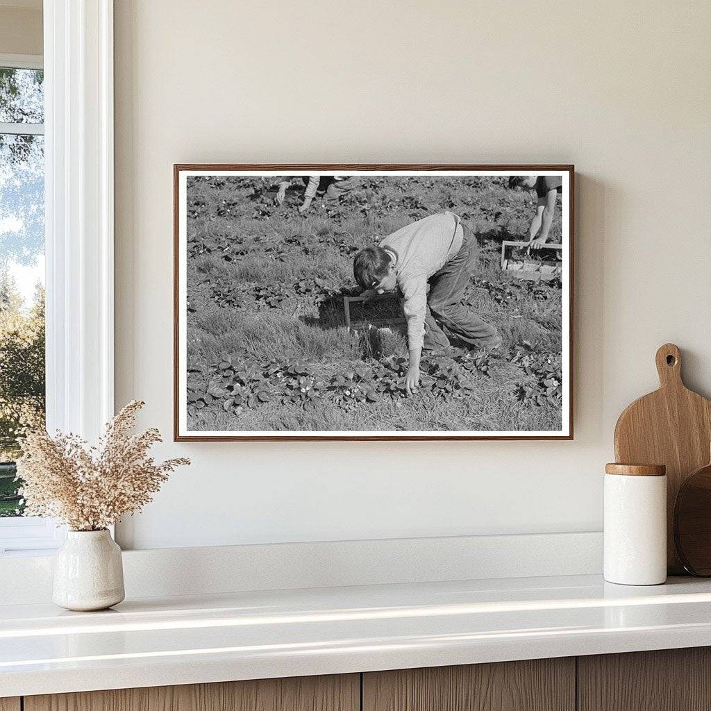 Child Migrant Picking Strawberries Ponchatoula 1939 - Available at KNOWOL