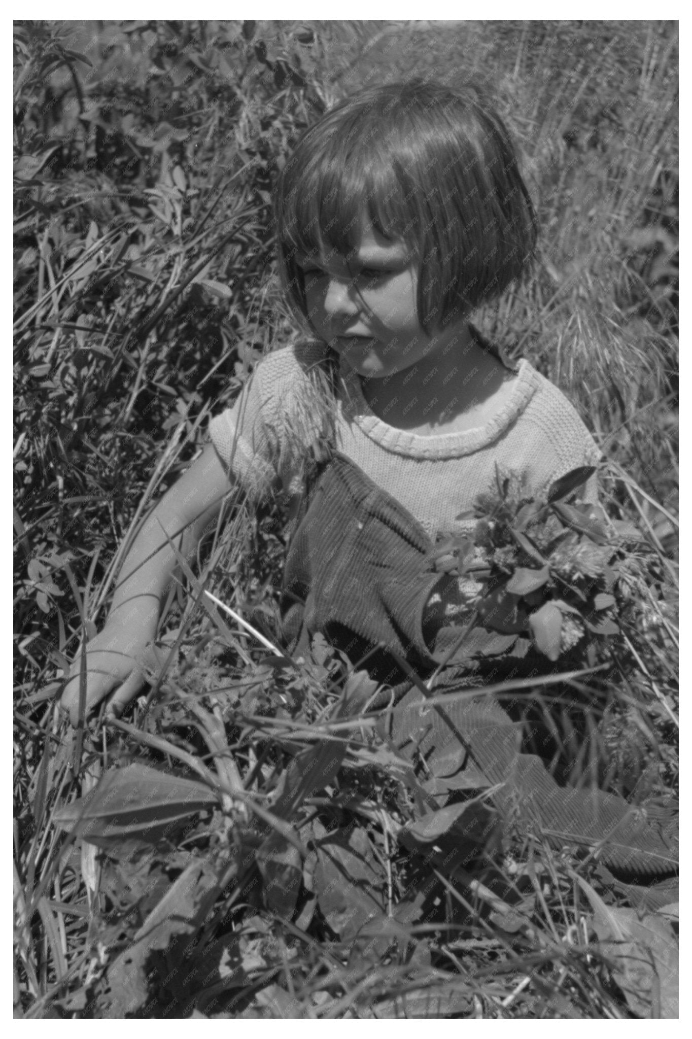 Child of Farm Worker at Caldwell Labor Camp 1941 - Available at KNOWOL