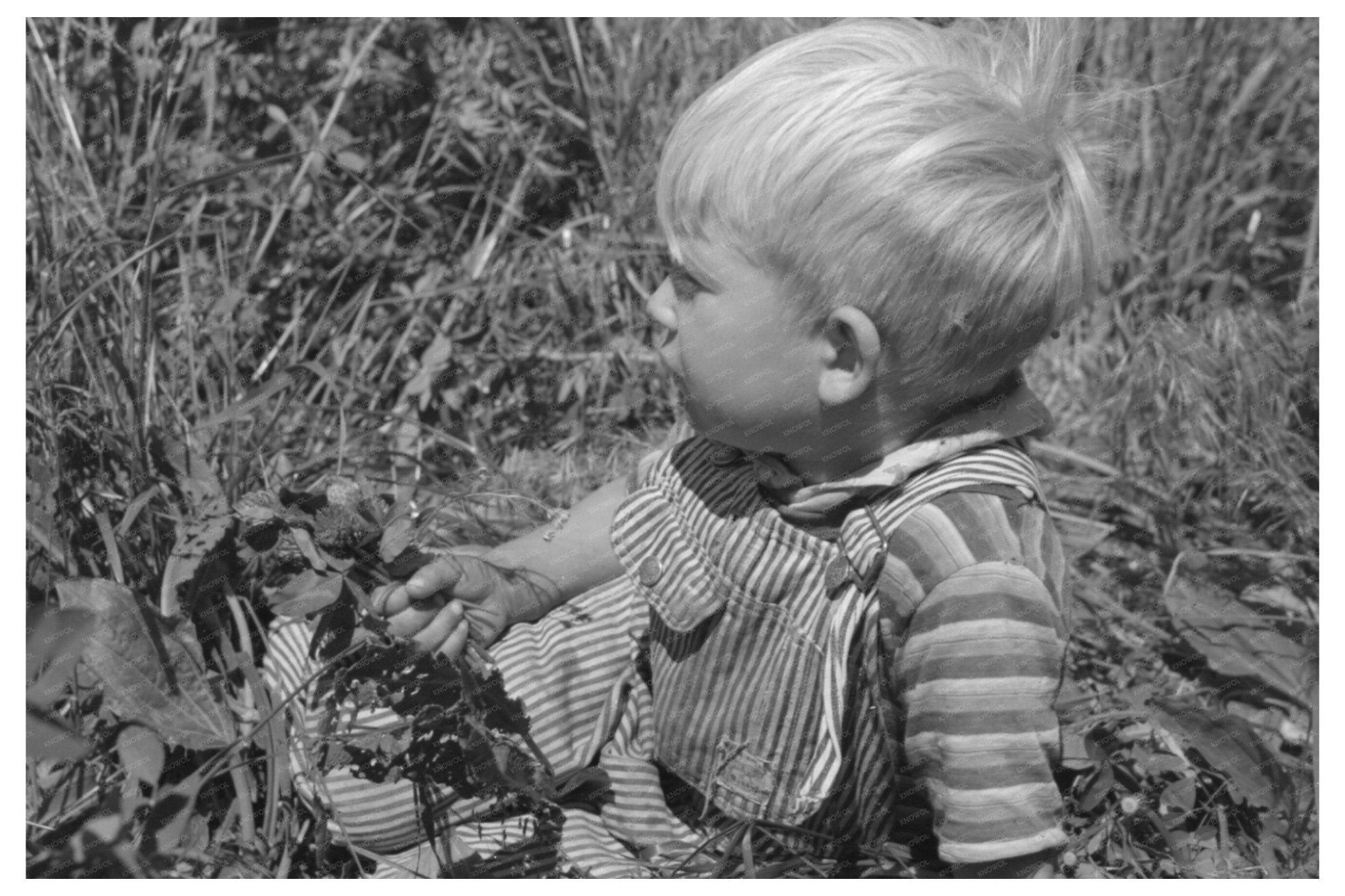 Child of Farm Worker in Caldwell Idaho June 1941 - Available at KNOWOL