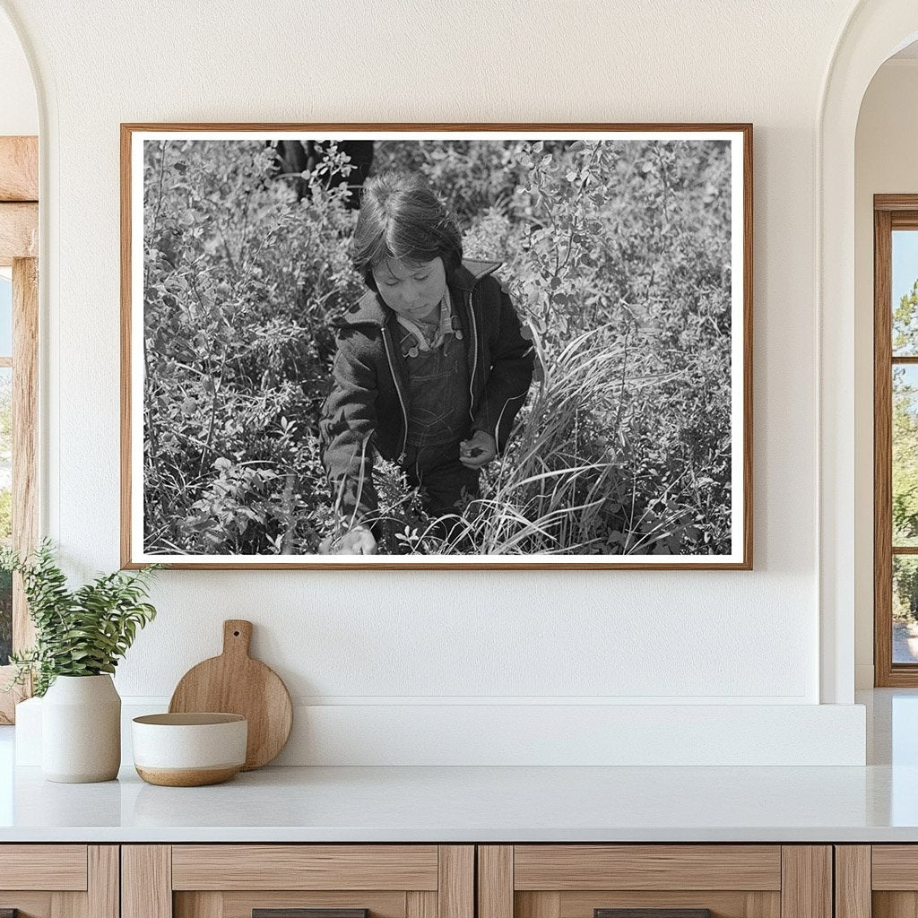Child Picking Blueberries in Little Fork Minnesota 1937 - Available at KNOWOL