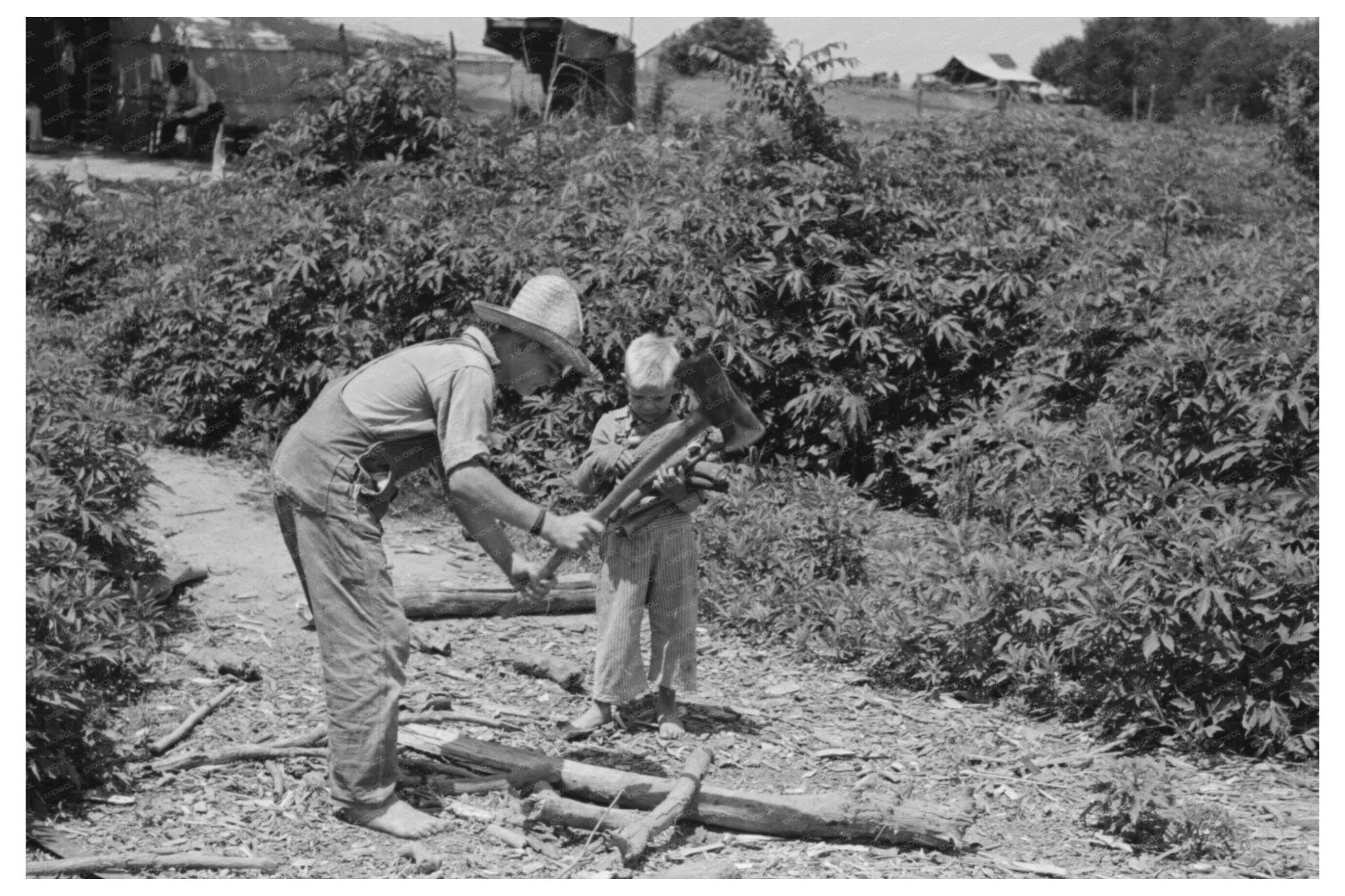 Children Chopping Wood in Muskogee County 1939 - Available at KNOWOL