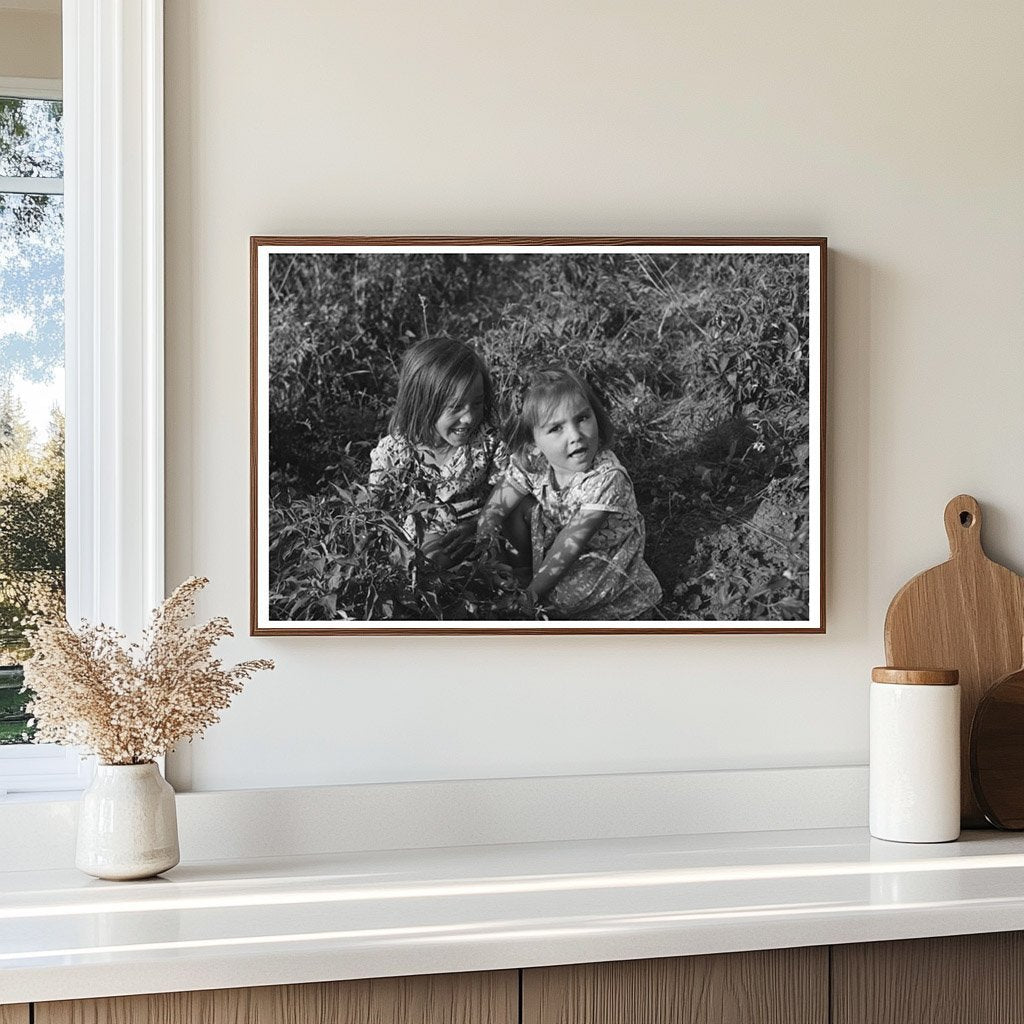 Children Harvesting Chili Peppers in Concho Arizona 1944 - Available at KNOWOL