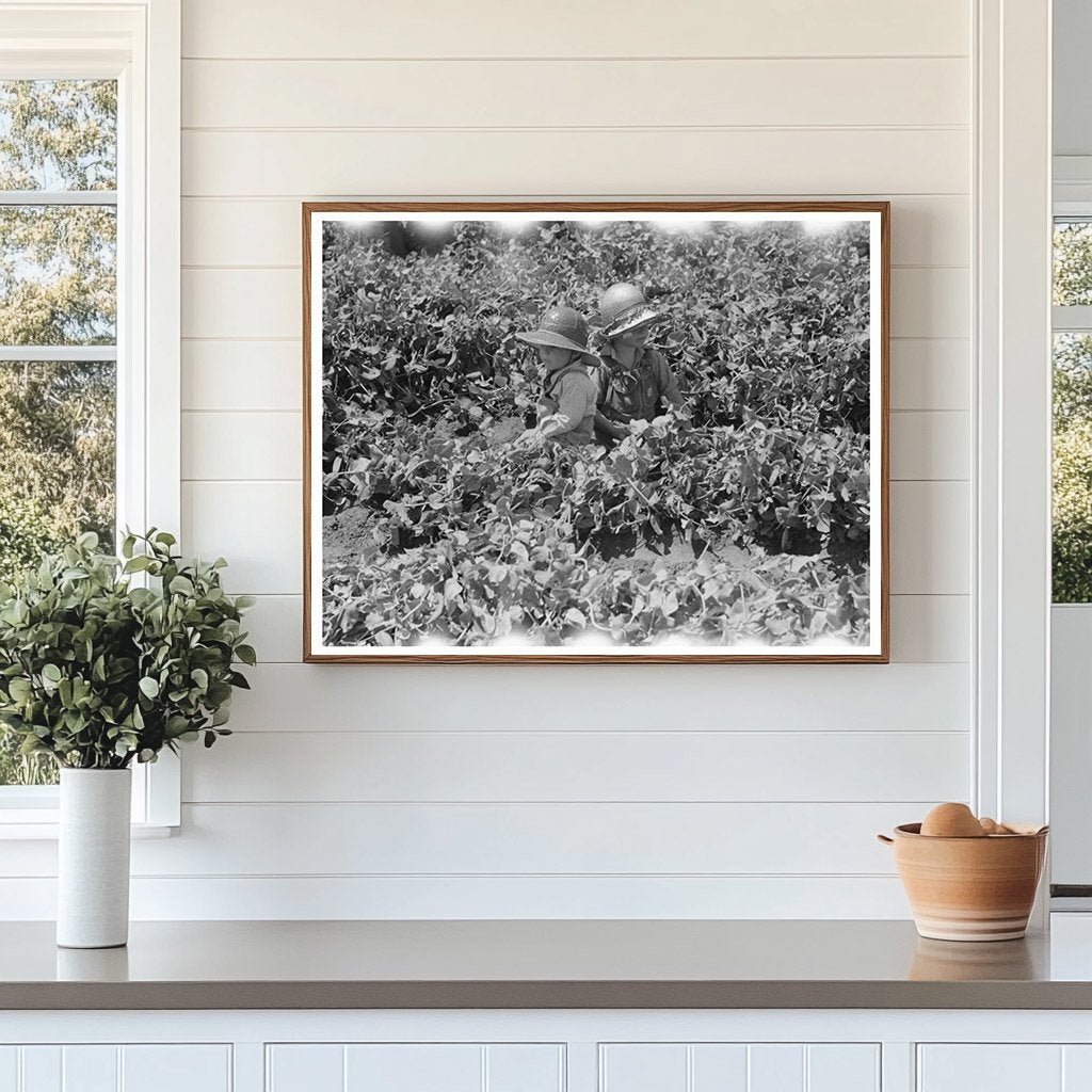 Children in Pea Fields Nampa Idaho June 1941 - Available at KNOWOL