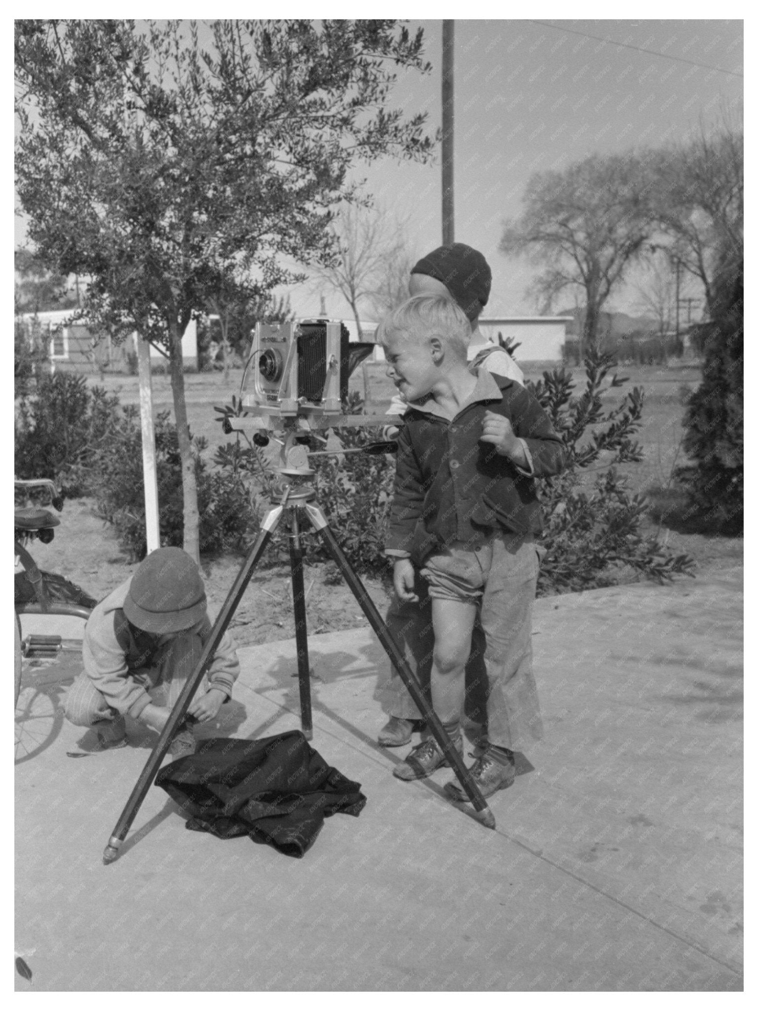 Children Inspecting Camera at Camelback Farms 1942 - Available at KNOWOL