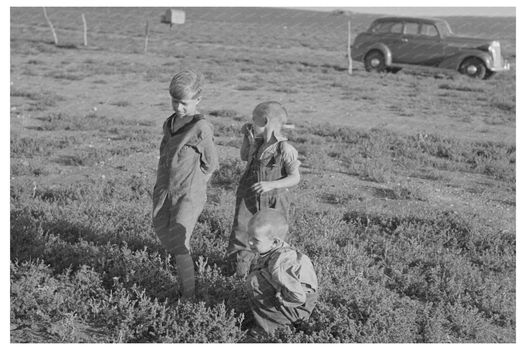 Children near Williston North Dakota September 1937 - Available at KNOWOL