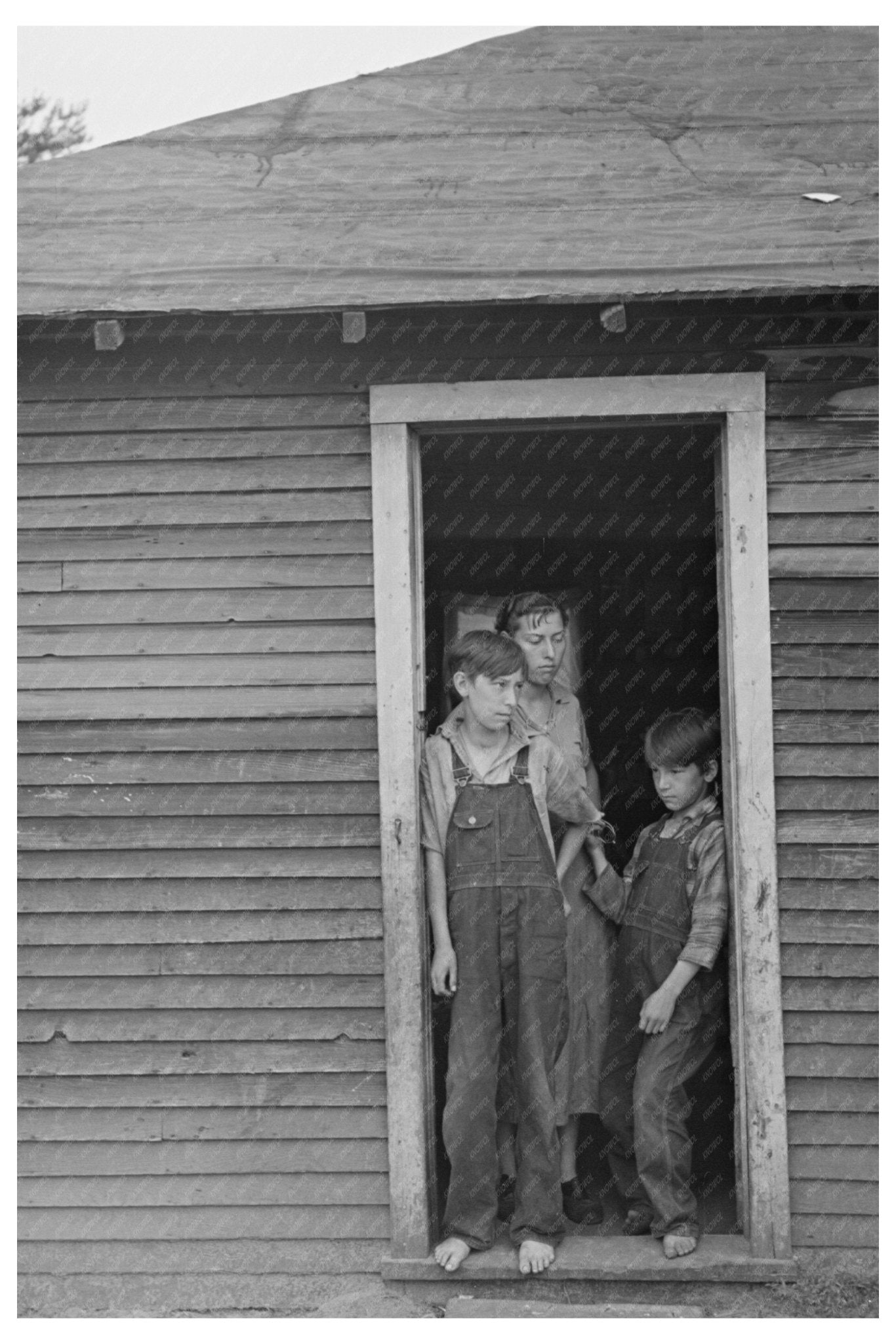 Children of John Mathews on Wisconsin Farm June 1937 - Available at KNOWOL
