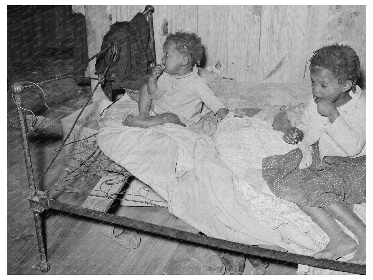 Children Picking Strawberries in Louisiana 1939 - Available at KNOWOL