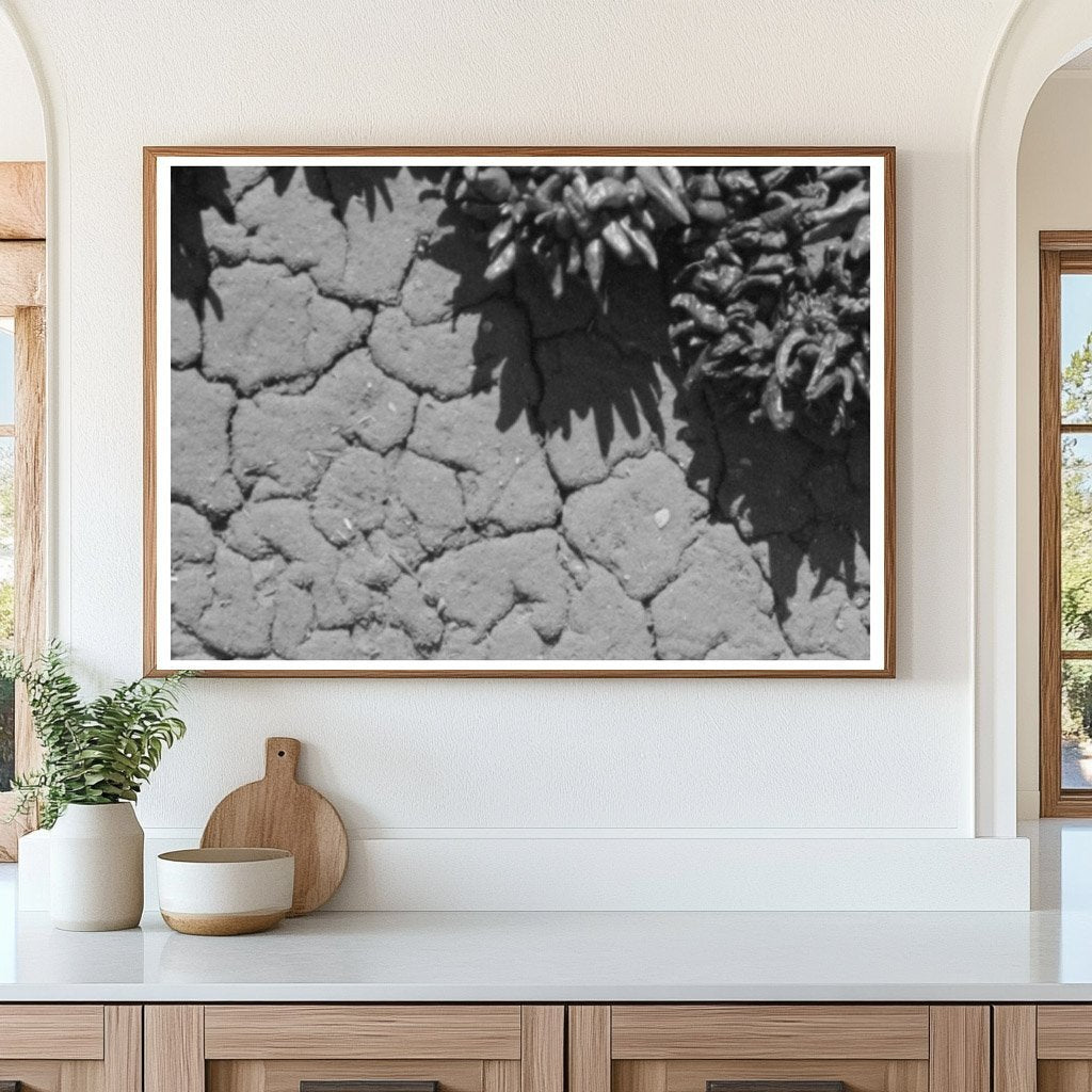 Chili Peppers Drying on Adobe House in Concho Arizona 1940 - Available at KNOWOL