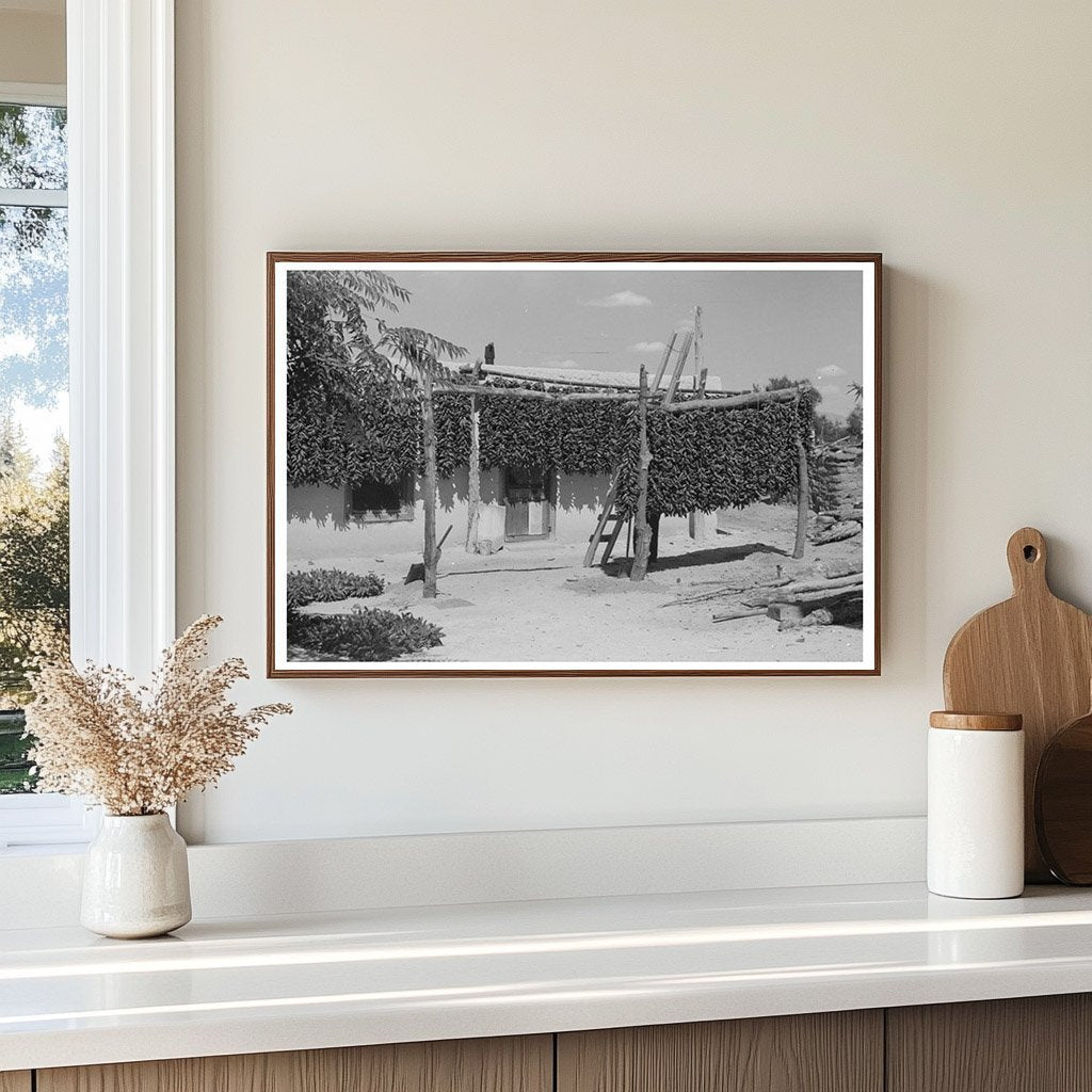 Chili Peppers in Isleta New Mexico 1940 - Available at KNOWOL