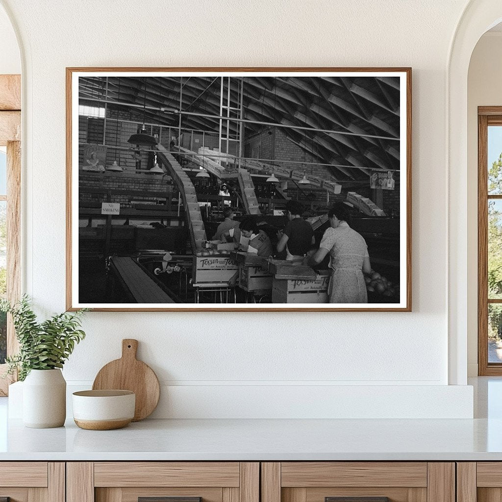 Citrus Packing Plant Weslaco Texas February 1939 - Available at KNOWOL
