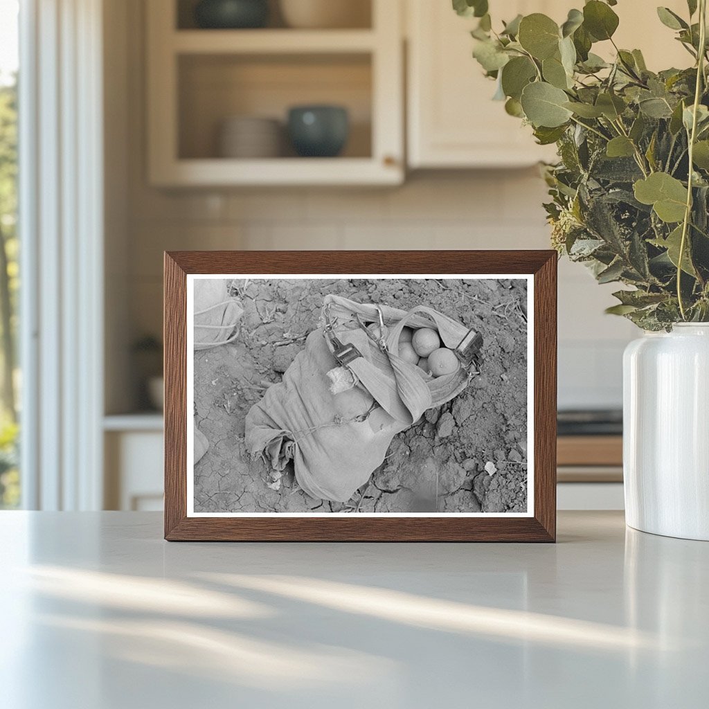 Citrus Pickers Bag in Weslaco Texas 1939 - Available at KNOWOL