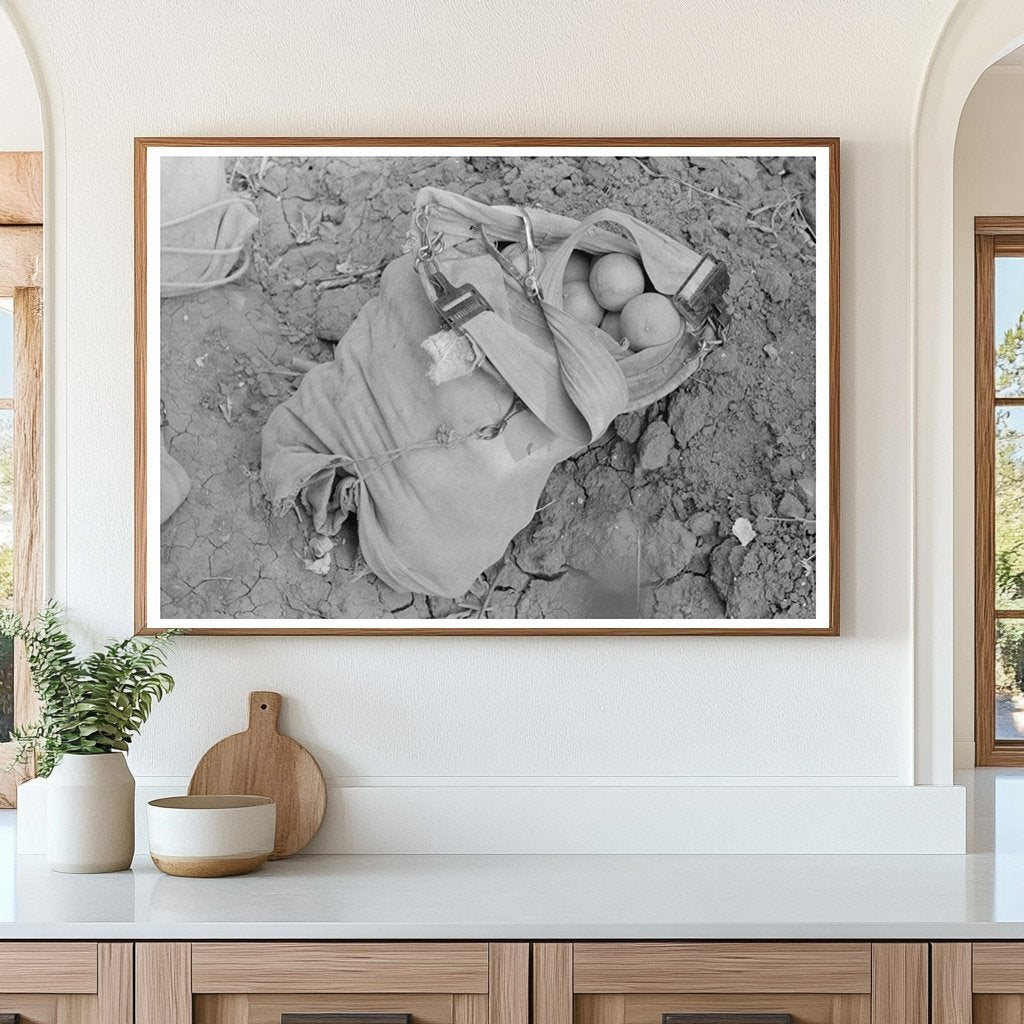 Citrus Pickers Bag in Weslaco Texas 1939 - Available at KNOWOL