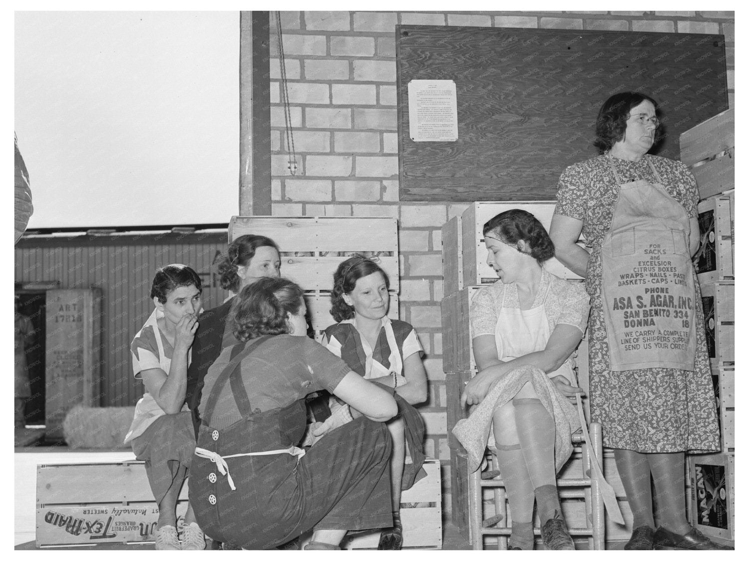 Citrus Workers Break at Grapefruit Packing Facility 1939 - Available at KNOWOL