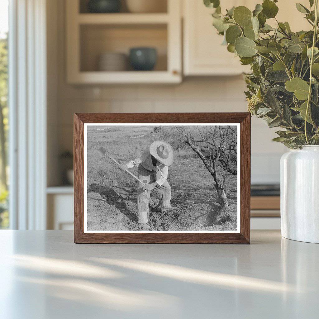 Clearing Mesquite Trees in El Indio Texas March 1939 - Available at KNOWOL