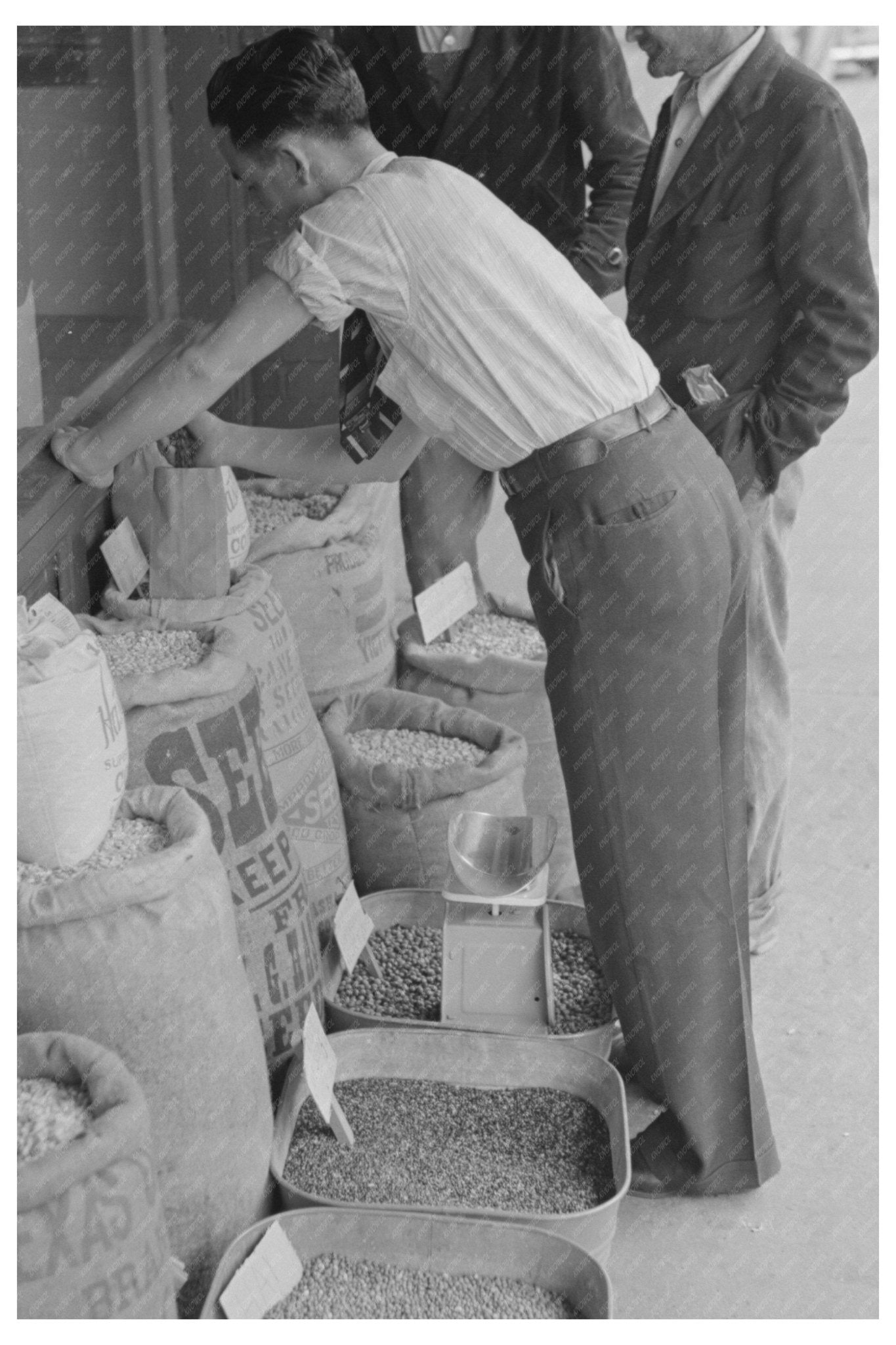 Clerk Storing Seed in San Augustine Texas April 1939 - Available at KNOWOL