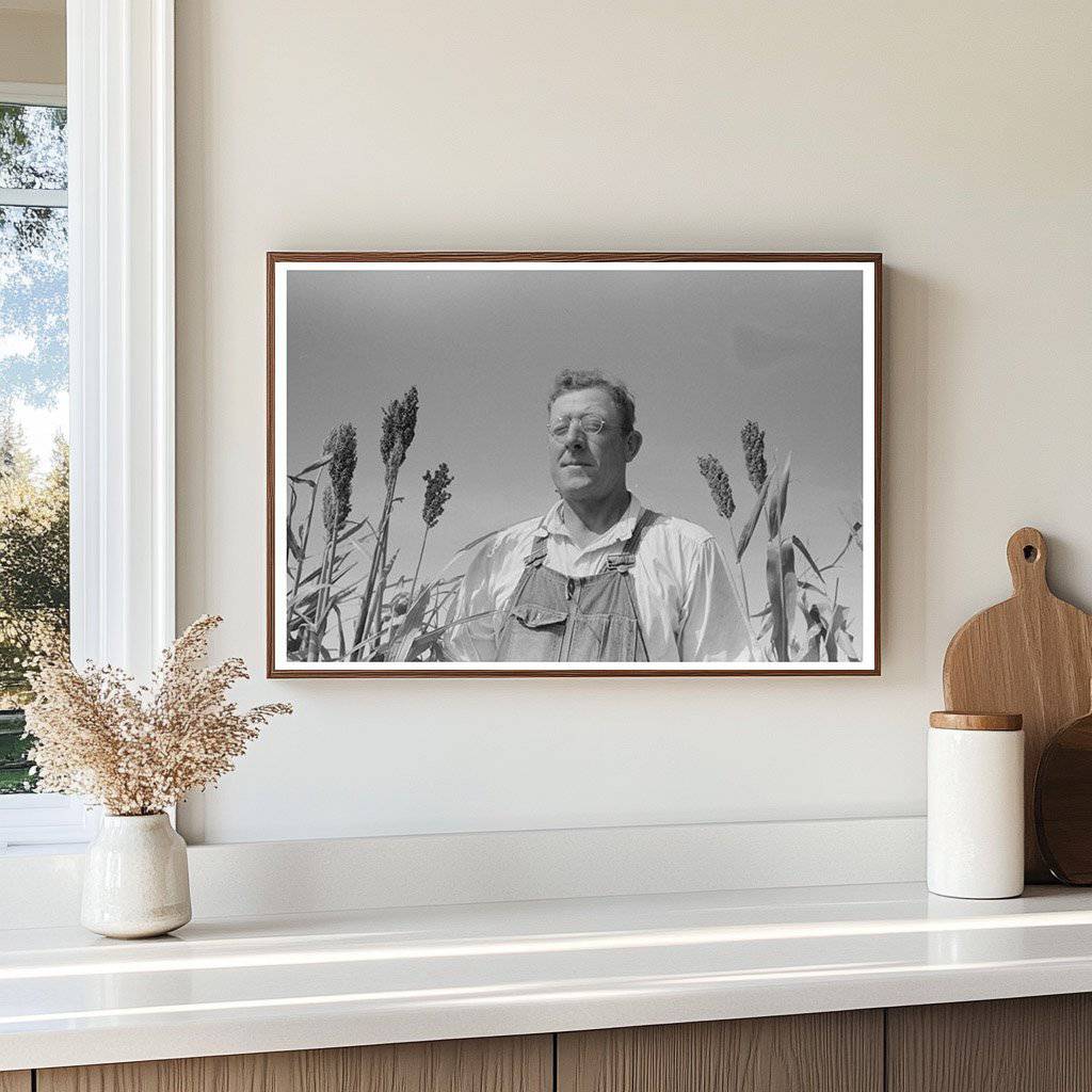 Client in Kaffir Corn Field Sheridan County Kansas 1939 - Available at KNOWOL