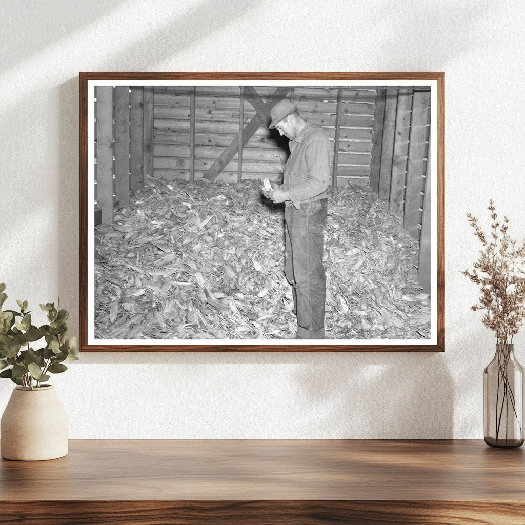 Clifford Beason Examines December 1936 Iowa Corn Sample - Available at KNOWOL