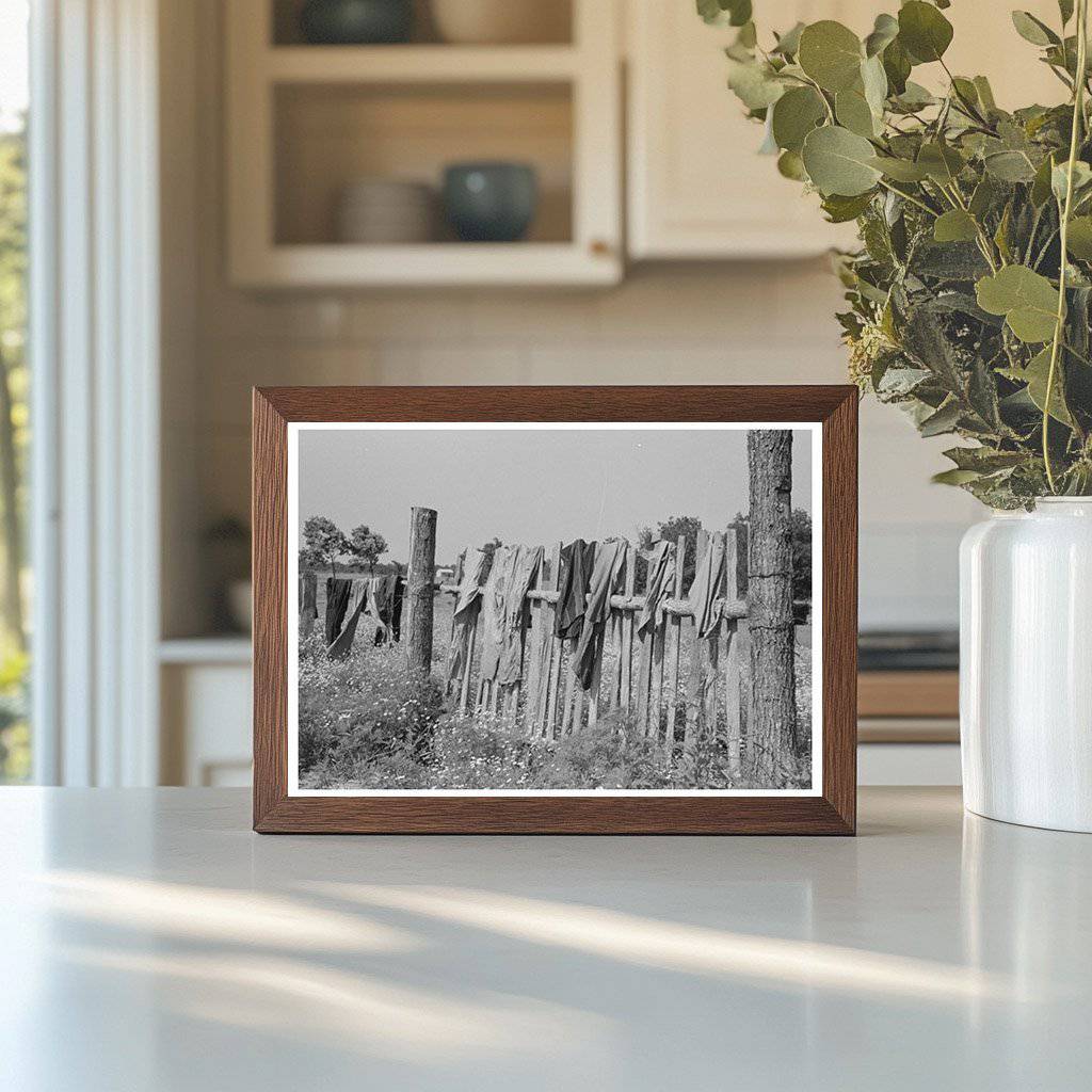 Clothes Drying on Fence in Sequoyah County Oklahoma 1939 - Available at KNOWOL