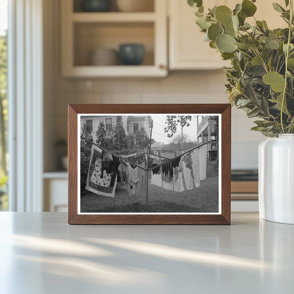 Clothes Drying on Tree in Meriden Connecticut 1939 - Available at KNOWOL