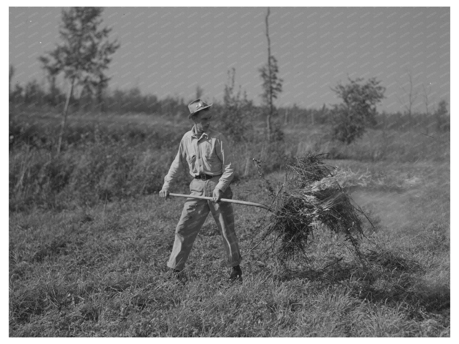 Clover Burning Near Littlefork Minnesota September 1937 - Available at KNOWOL