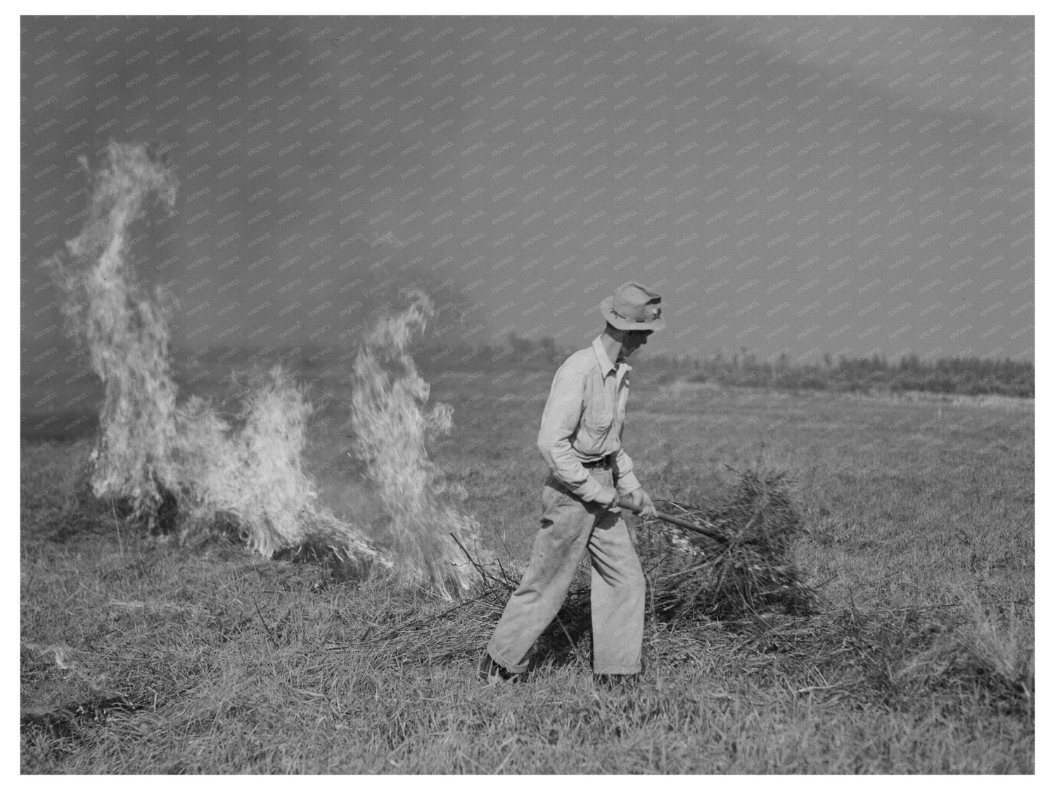 Clover Field Burning in Littlefork Minnesota 1937 - Available at KNOWOL
