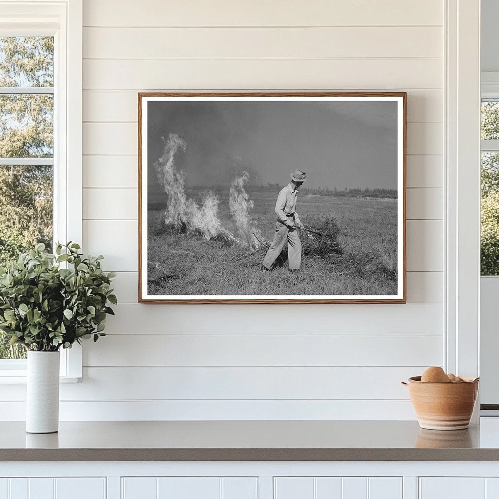 Clover Field Burning in Littlefork Minnesota 1937 - Available at KNOWOL