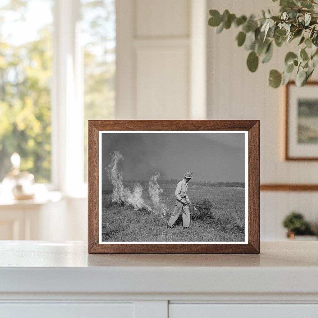 Clover Field Burning in Littlefork Minnesota 1937 - Available at KNOWOL