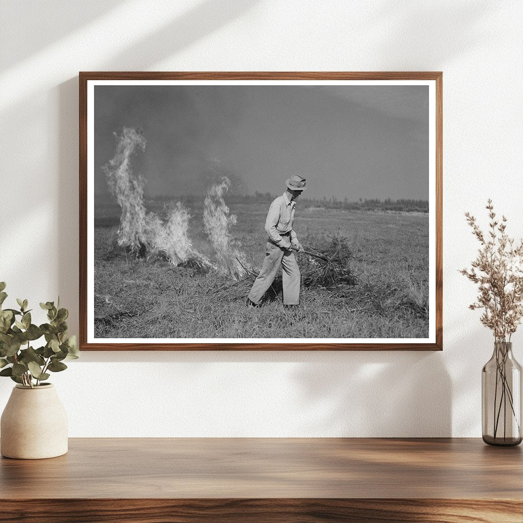 Clover Field Burning in Littlefork Minnesota 1937 - Available at KNOWOL
