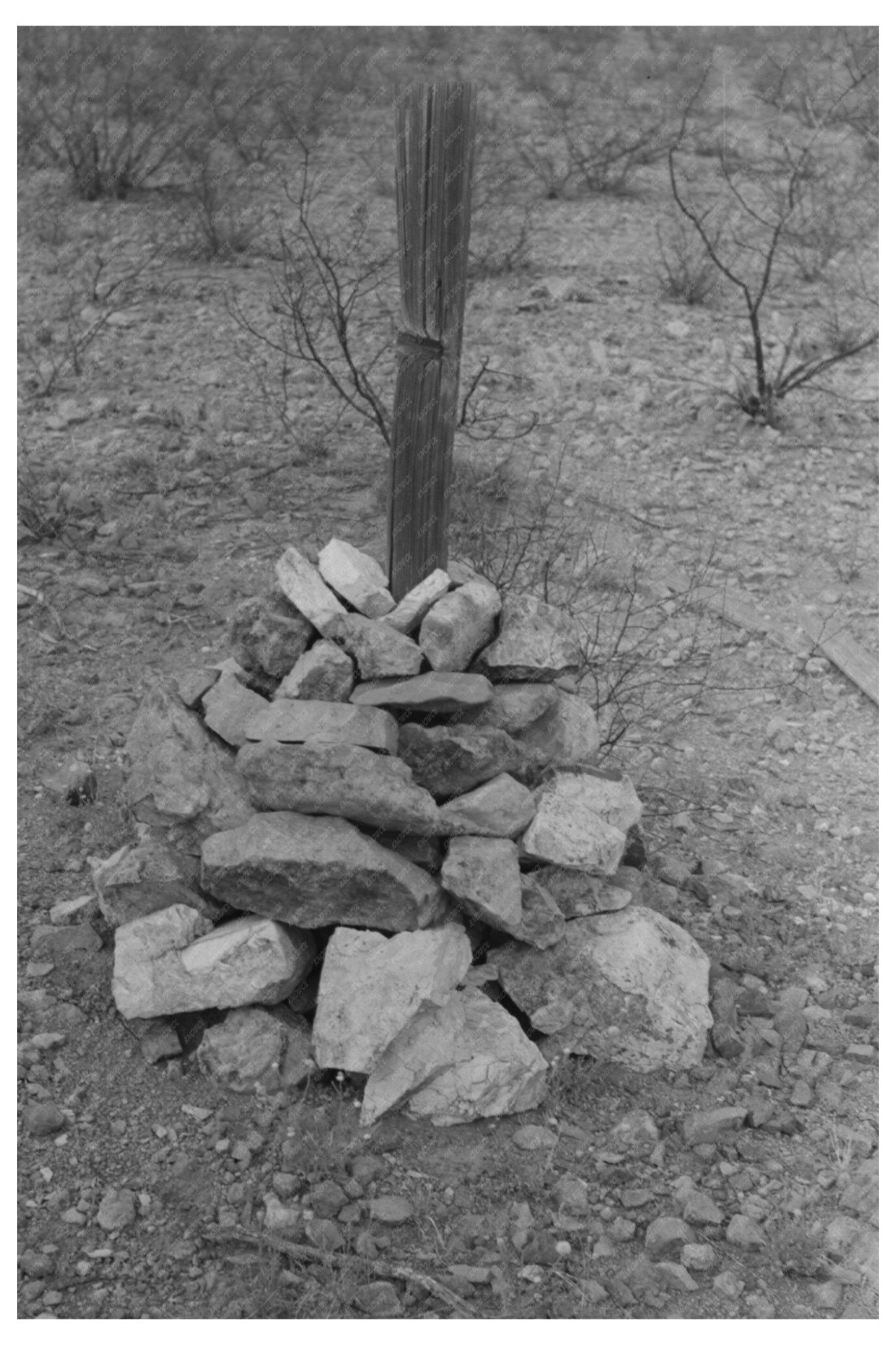 Cochise County Arizona Prospectors Monument April 1940 - Available at KNOWOL