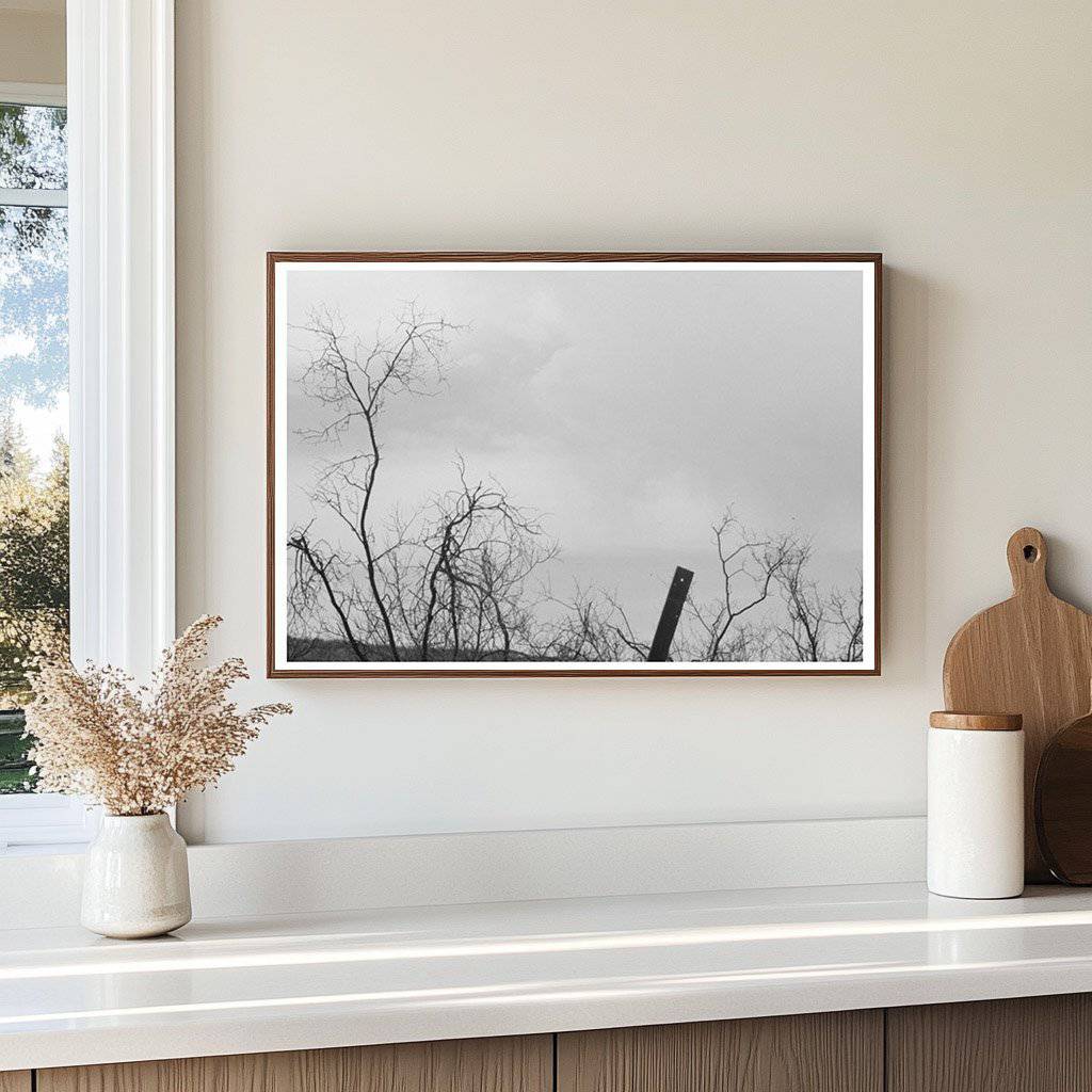 Cochise County Miners Monument Arizona 1940 - Available at KNOWOL